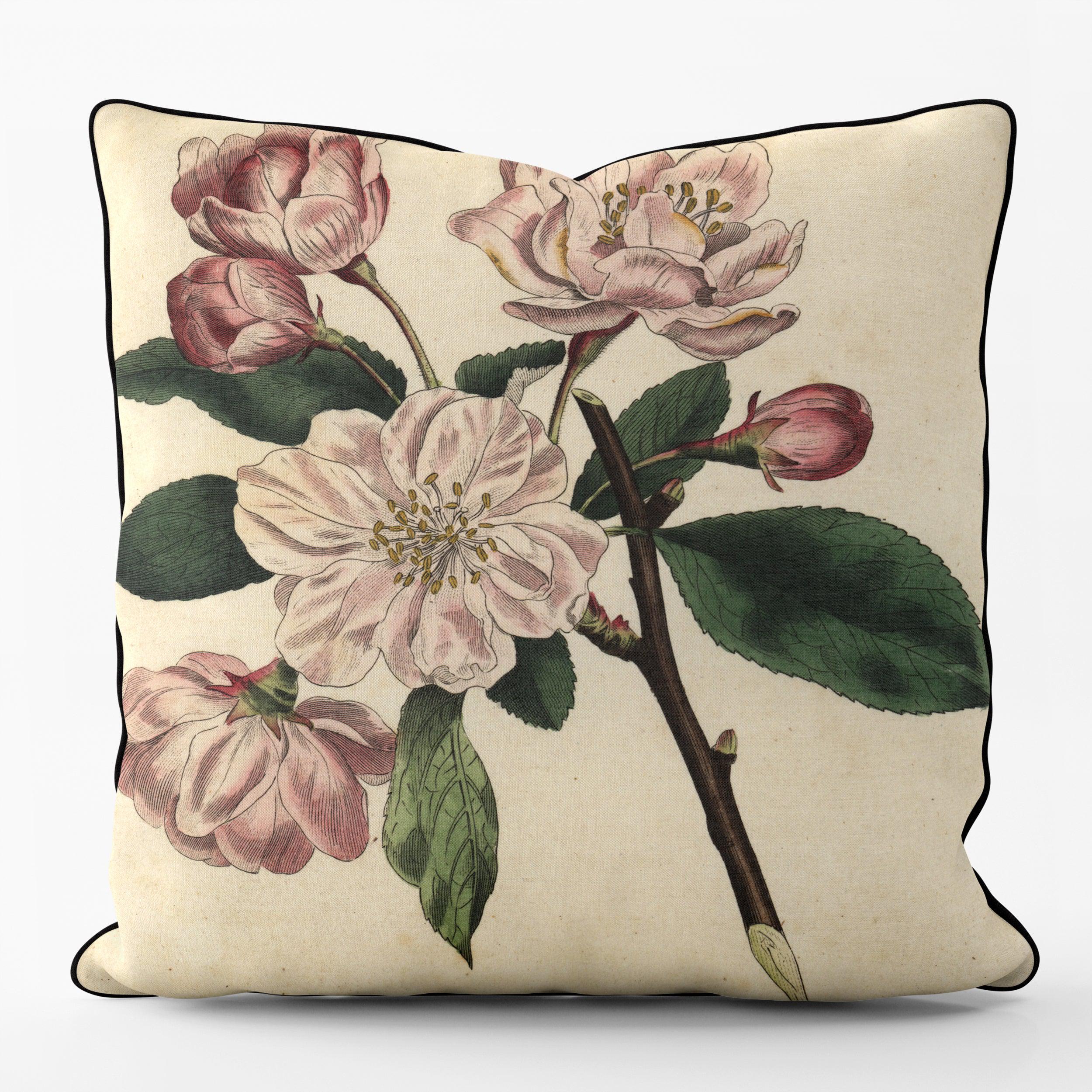 Chinese Flowering Apple Malus - Botanical Outdoor Cushion