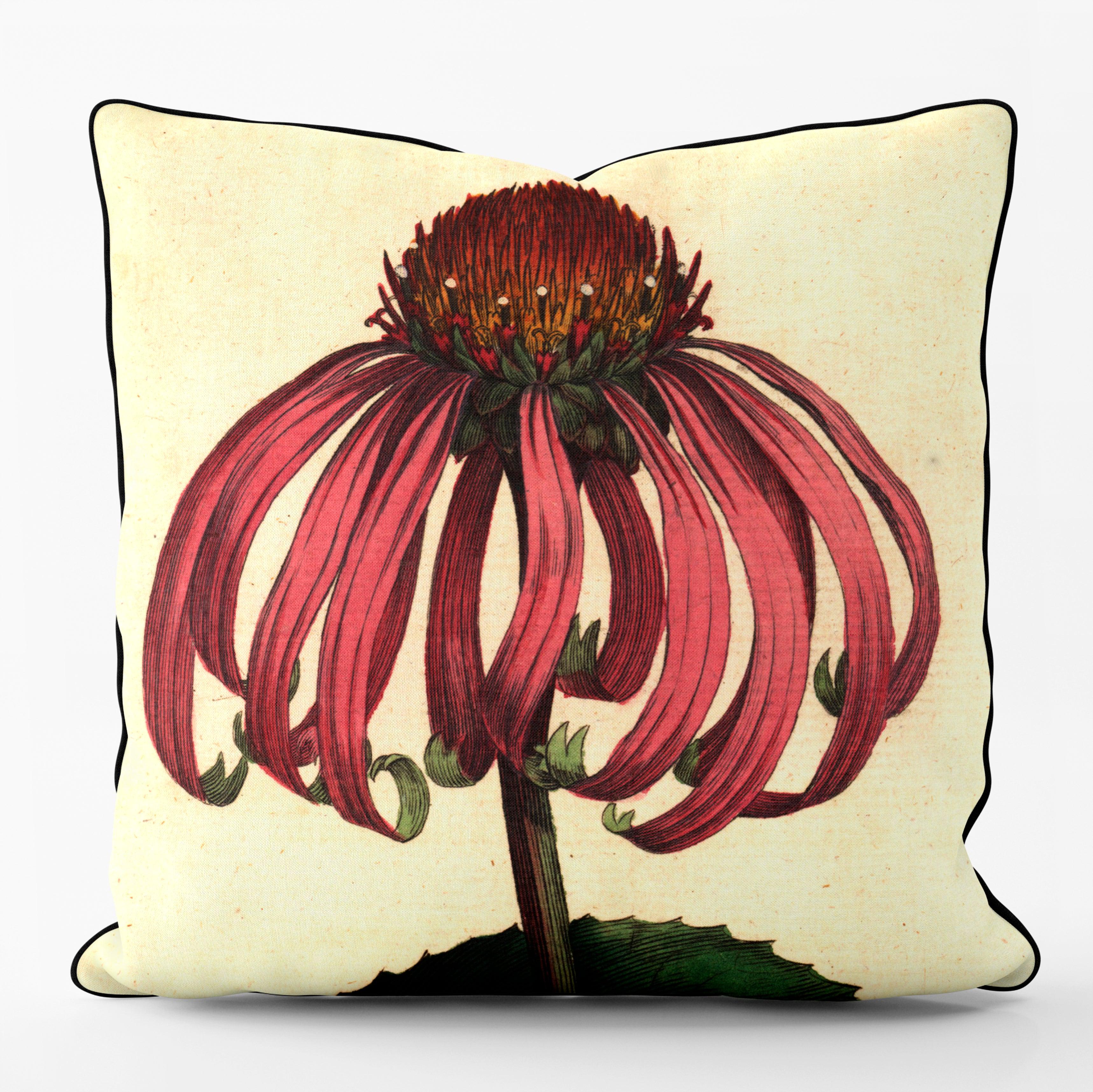 Echineacea Purpurea - Botanical Outdoor Cushion