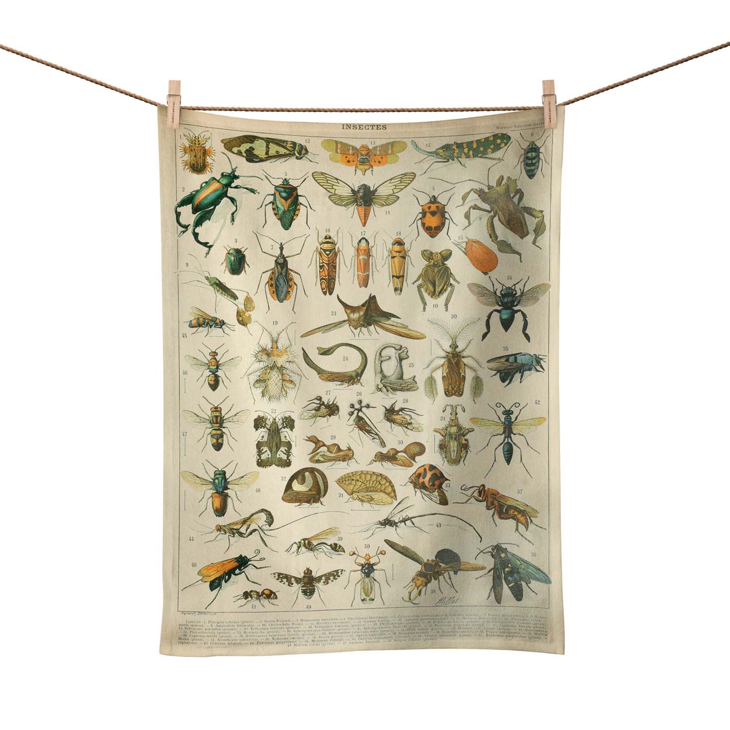 Adolphe Millot - Insectes- Tea Towel