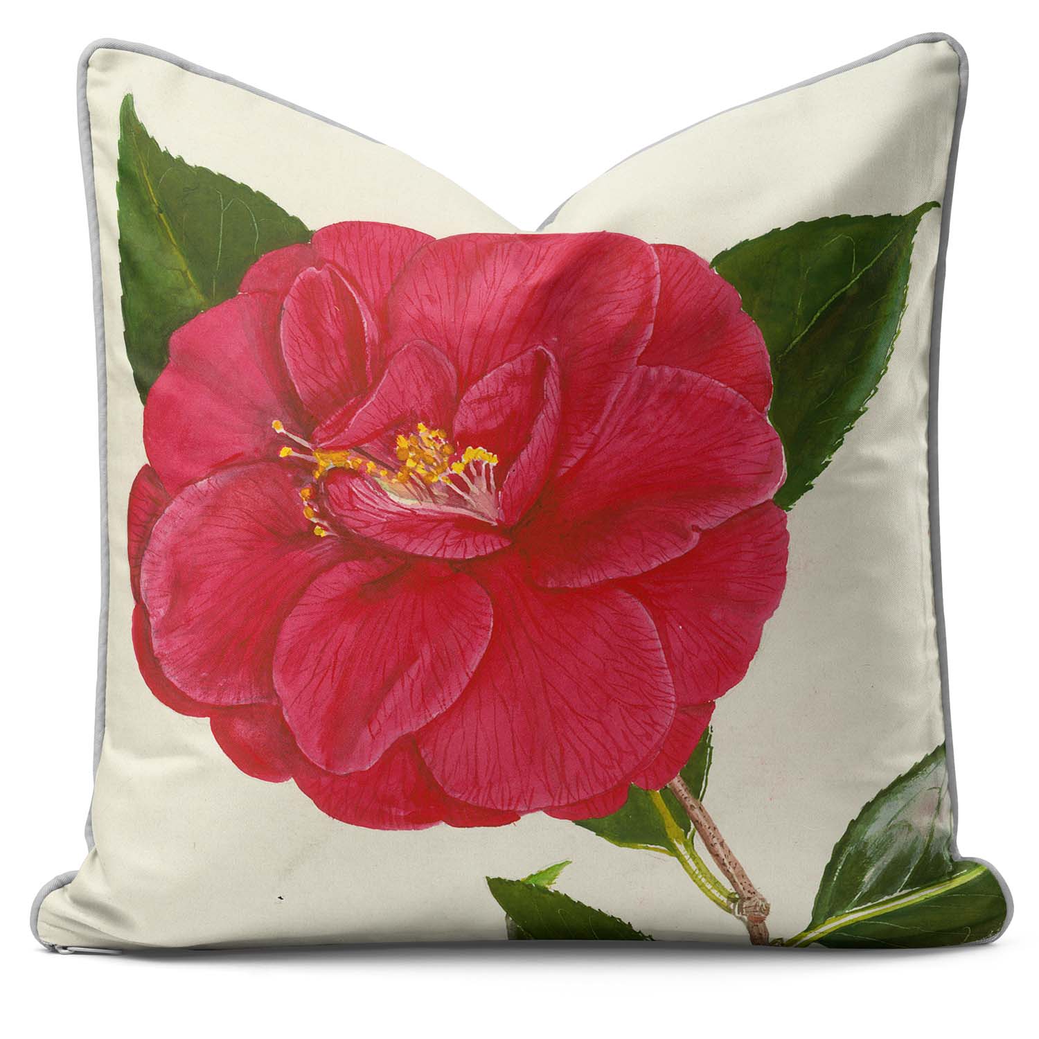 Camelia - Alfred Wise Cushion