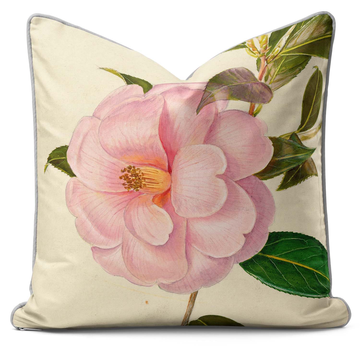 Camelia Donation - Alfred Wise Cushion