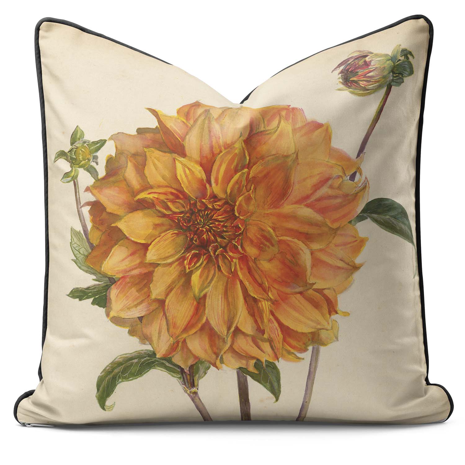 Dahlia Florence M Davies - Alfred Wise Outdoor Cushion