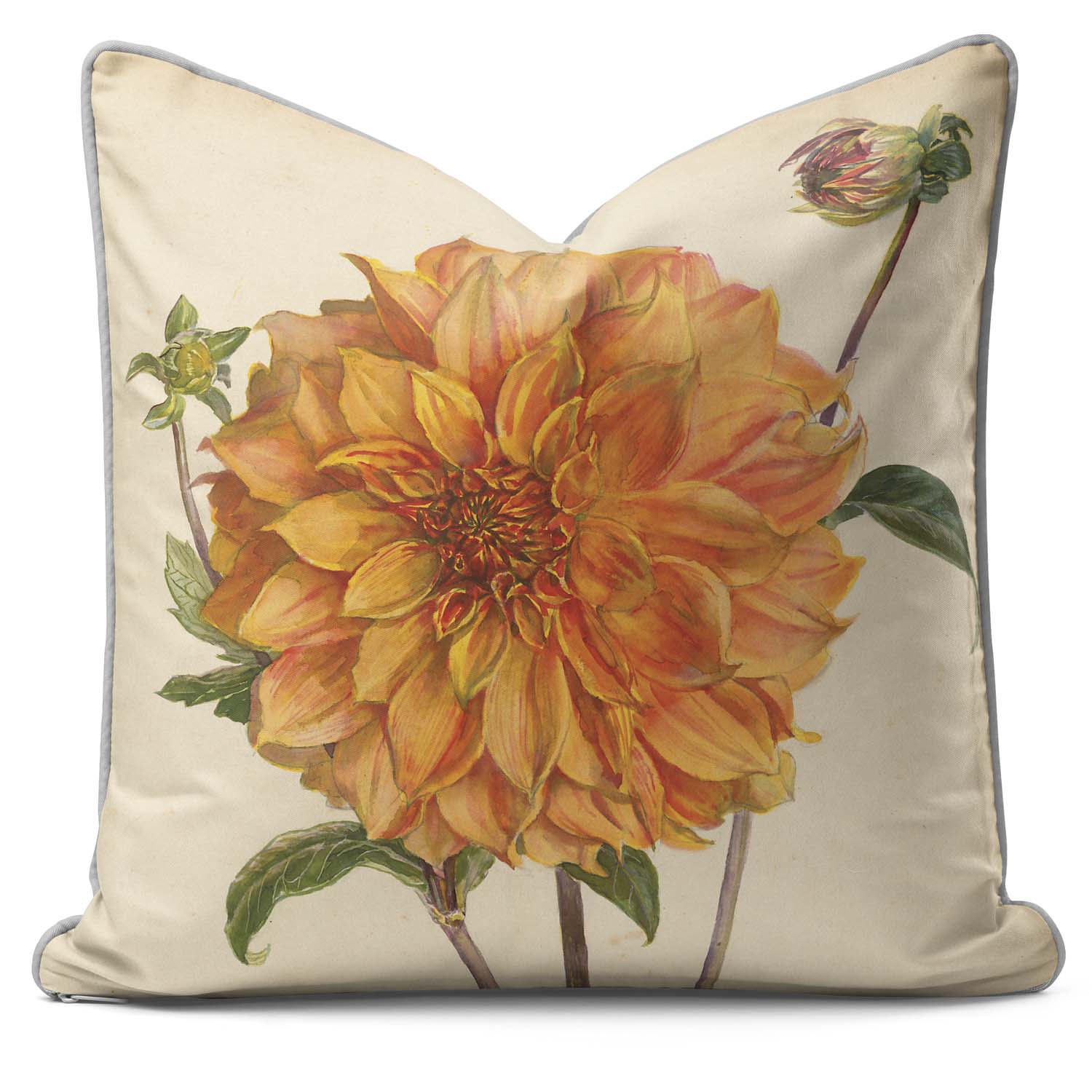 Dahlia Florence M Davies - Alfred Wise Cushion