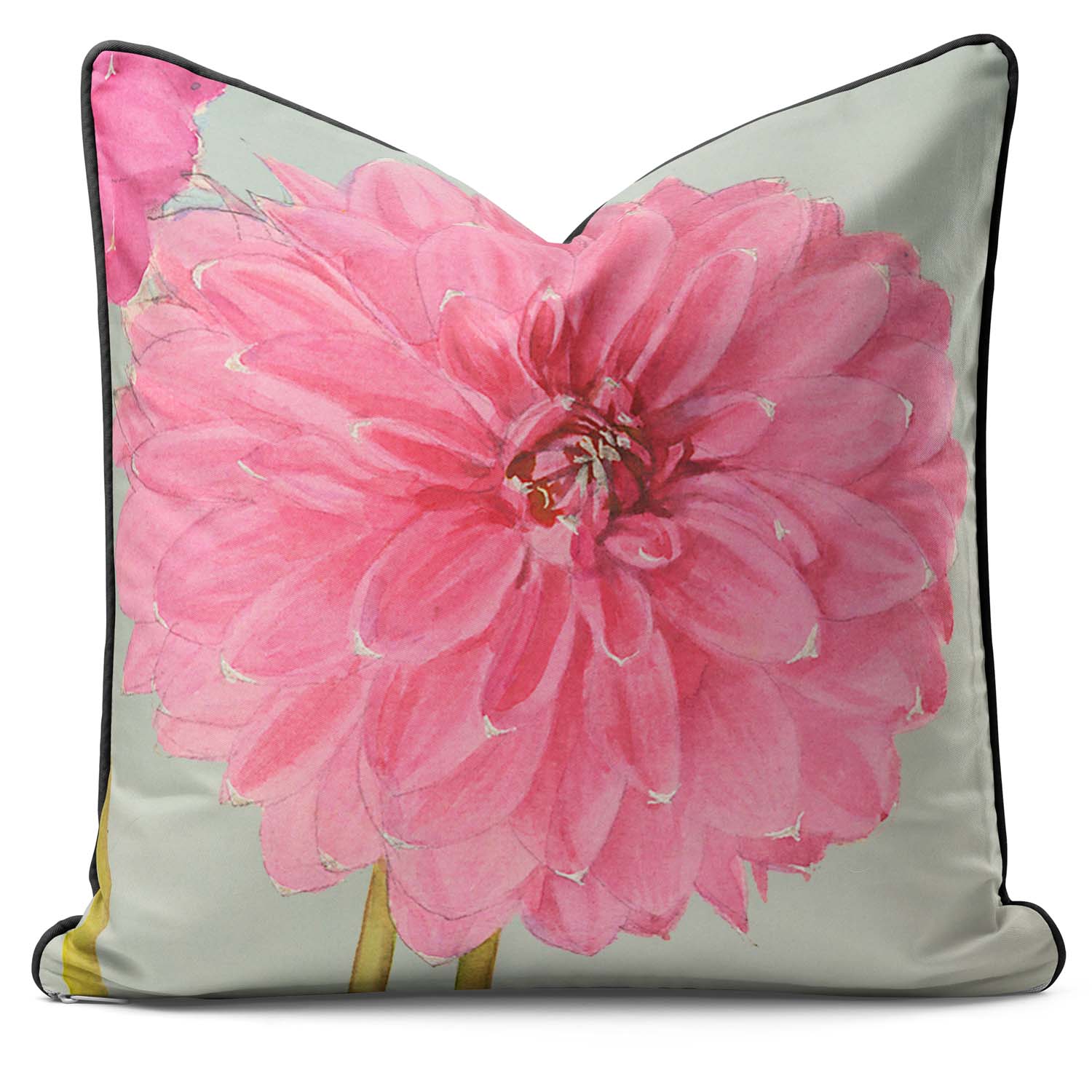 Dahlia Cheal's Pink Single Flower - Alfred Wise Outdoor Cushion