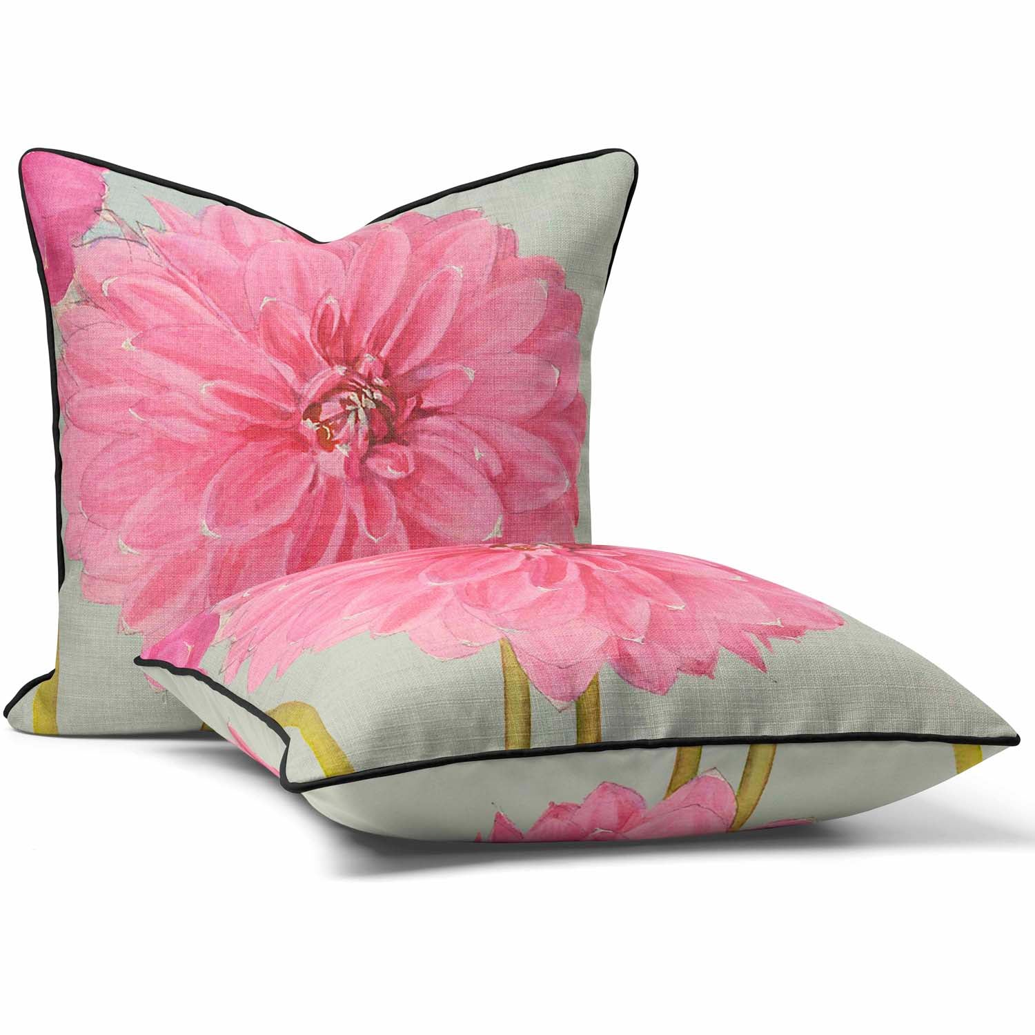 Dahlia Cheal's Pink Single Flower - Alfred Wise Outdoor Cushion
