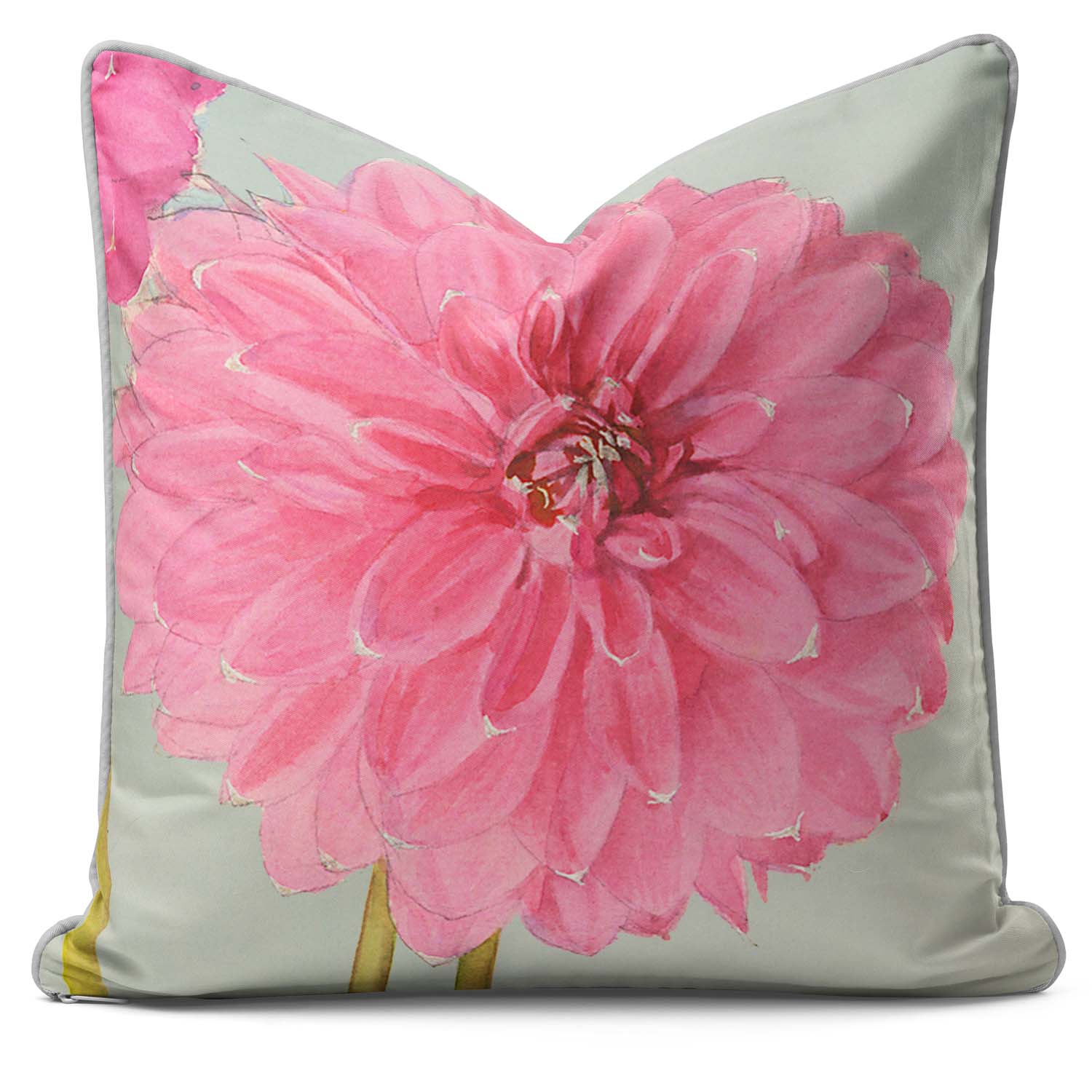 Dahlia Cheal's Pink Single Flower - Alfred Wise Outdoor Cushion