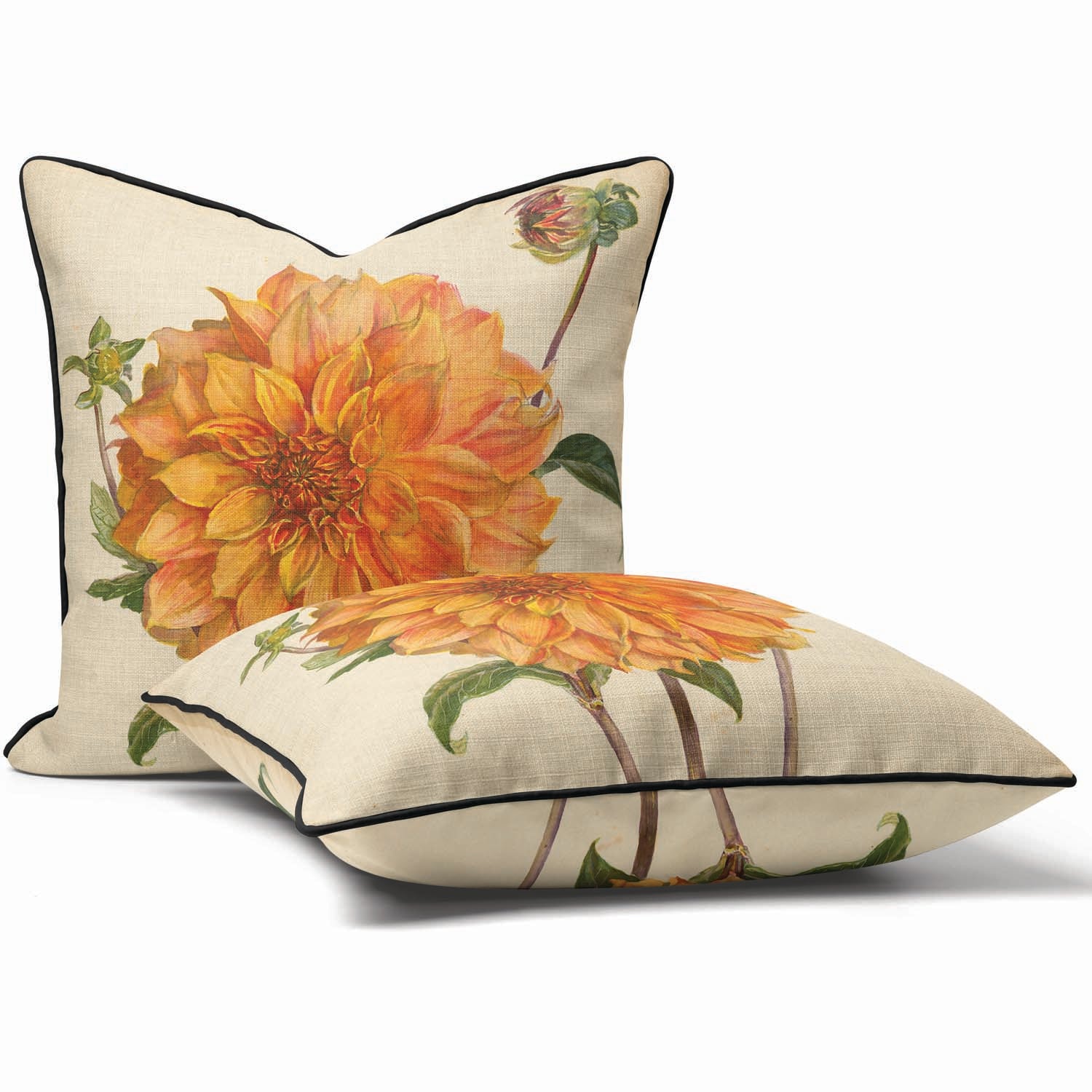 Dahlia Florence M Davies - Alfred Wise Outdoor Cushion
