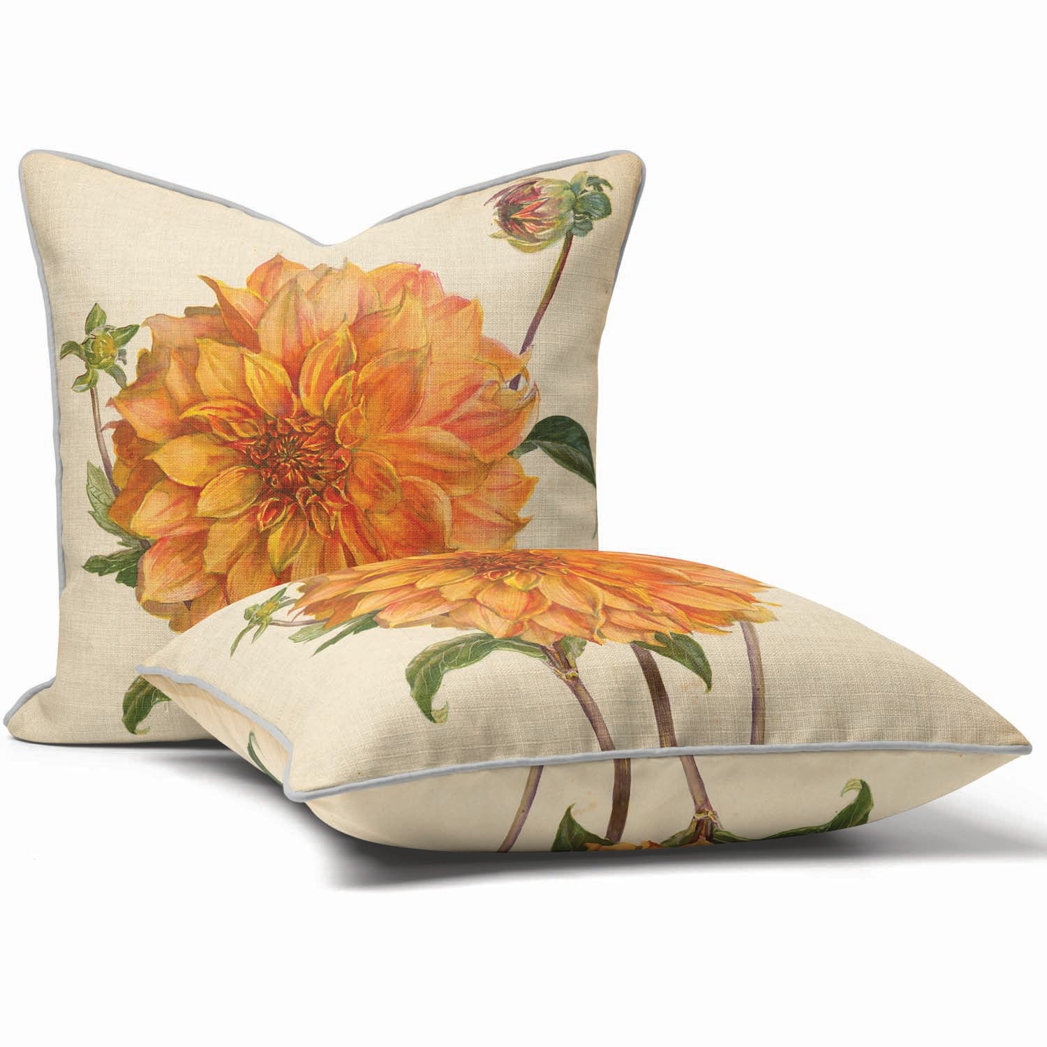 Dahlia Florence M Davies - Alfred Wise Cushion