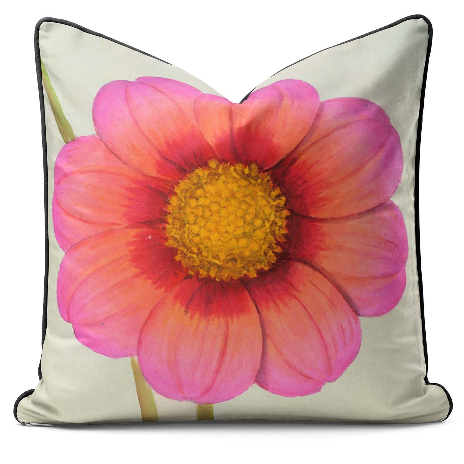 Dahlia Little Jenny Single Flower - Alfred Wise Outdoor Cushion