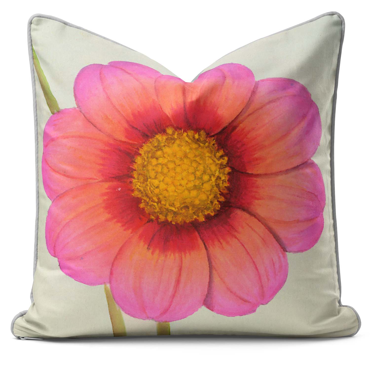 Dahlia Little Jenny Single Flower - Alfred Wise Cushion