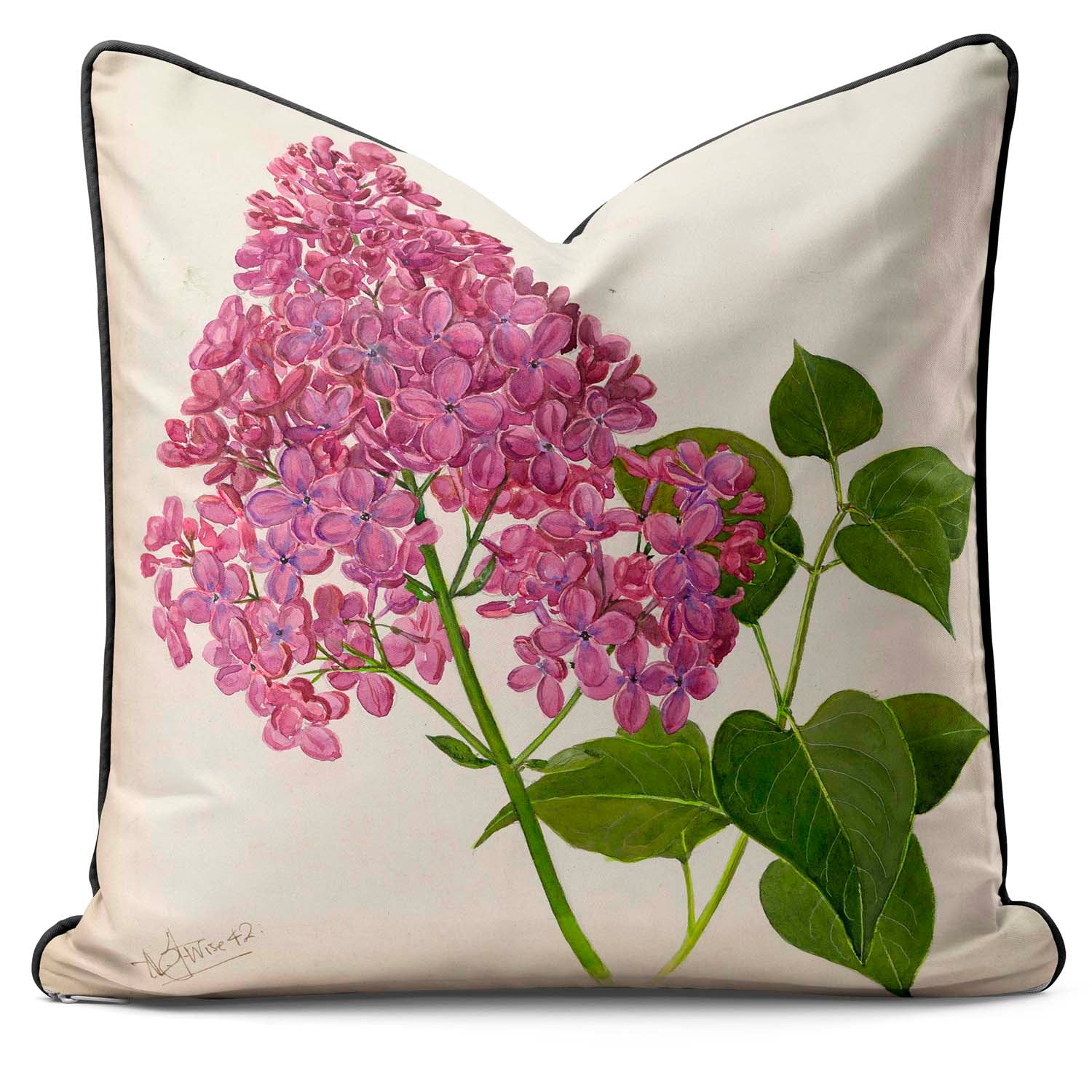 Syringa Hyacinthiflora Maureen - Alfred Wise Outdoor Cushion