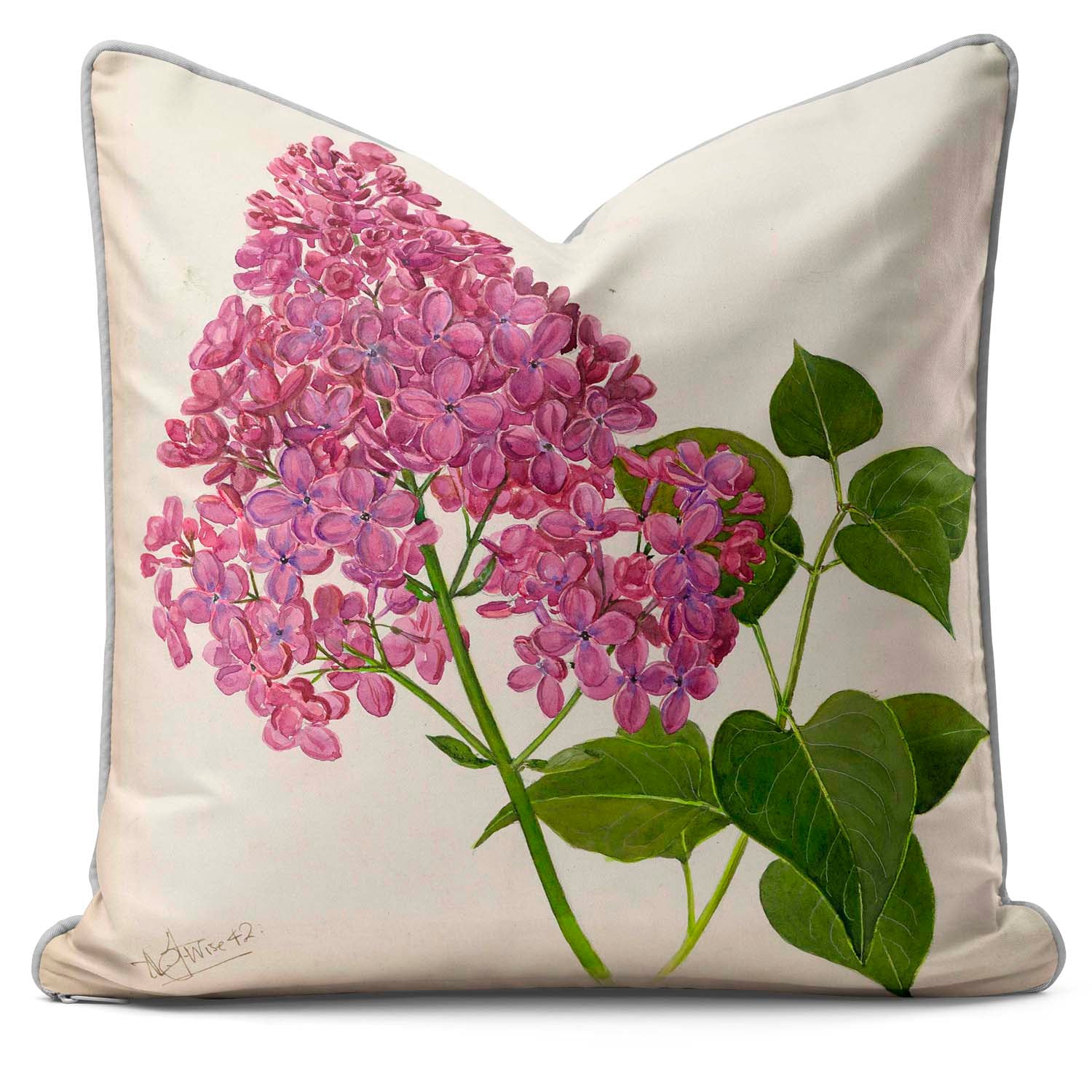 Syringa Hyacinthiflora Maureen - Alfred Wise Cushion
