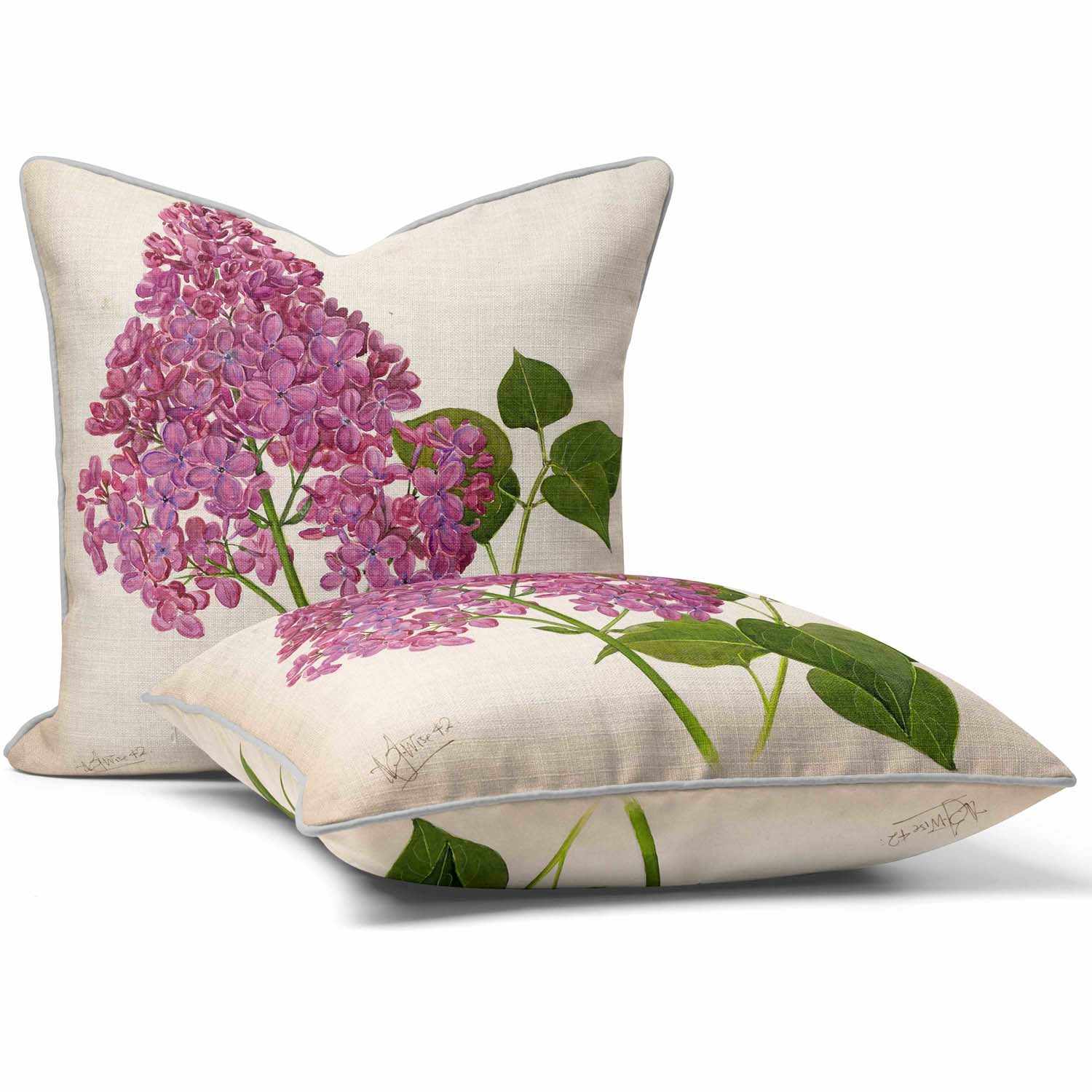 Syringa Hyacinthiflora Maureen - Alfred Wise Cushion