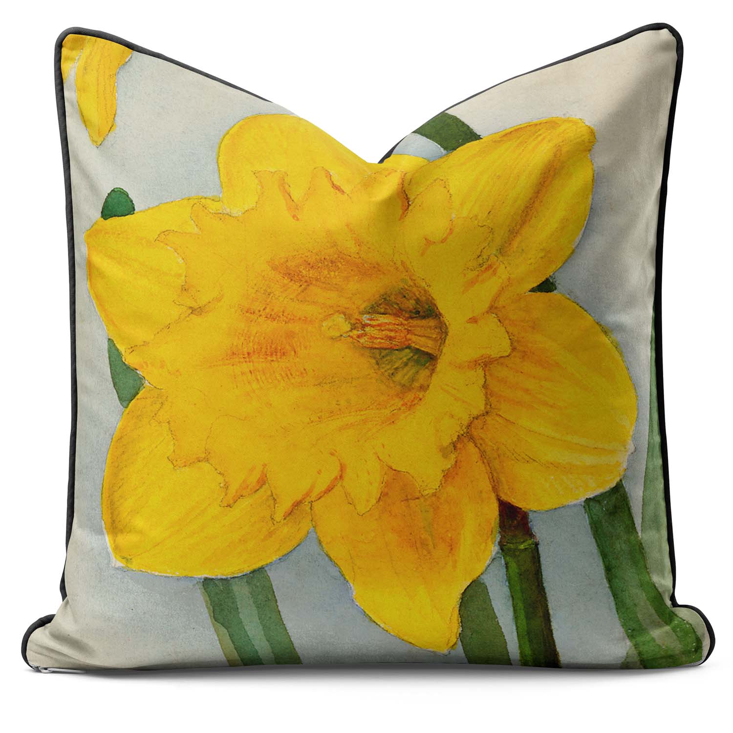 Dutch Master - Alfred Wise Outdoor Cushion