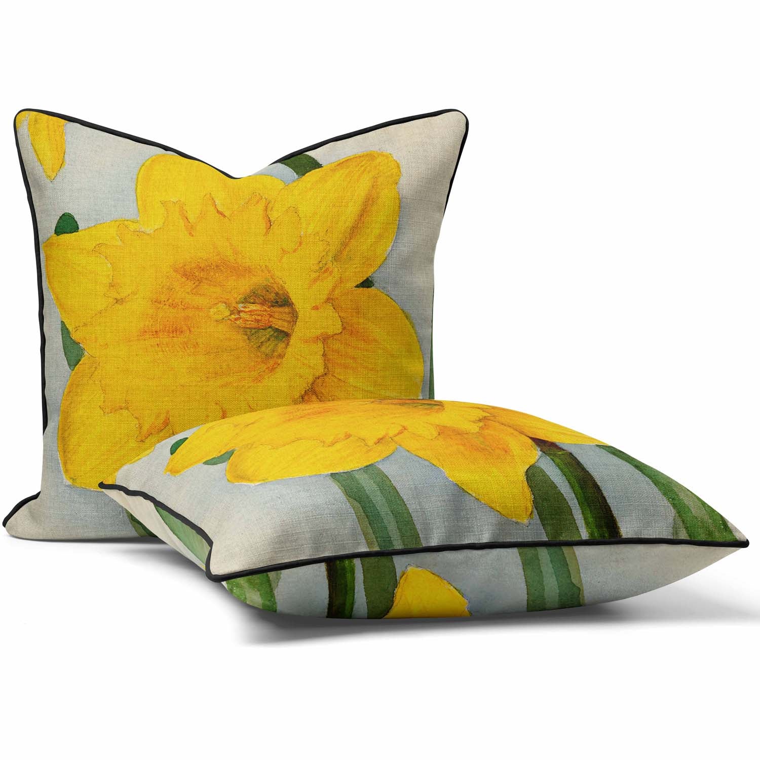 Dutch Master - Alfred Wise Outdoor Cushion