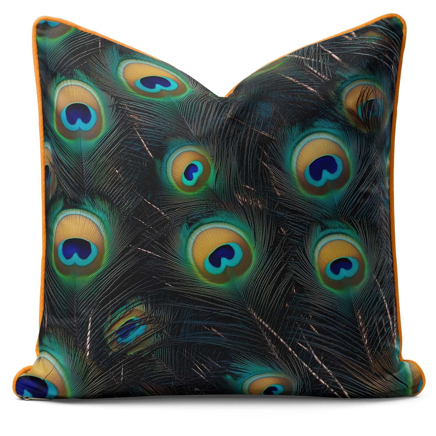 Peacock Feather - Art Cushions