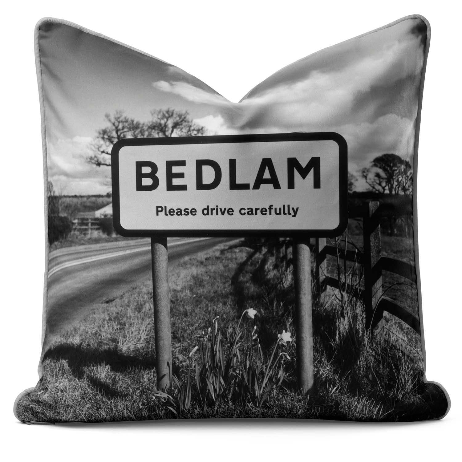 BEDLAM Cushion – Lesser Spotted Britain Collection