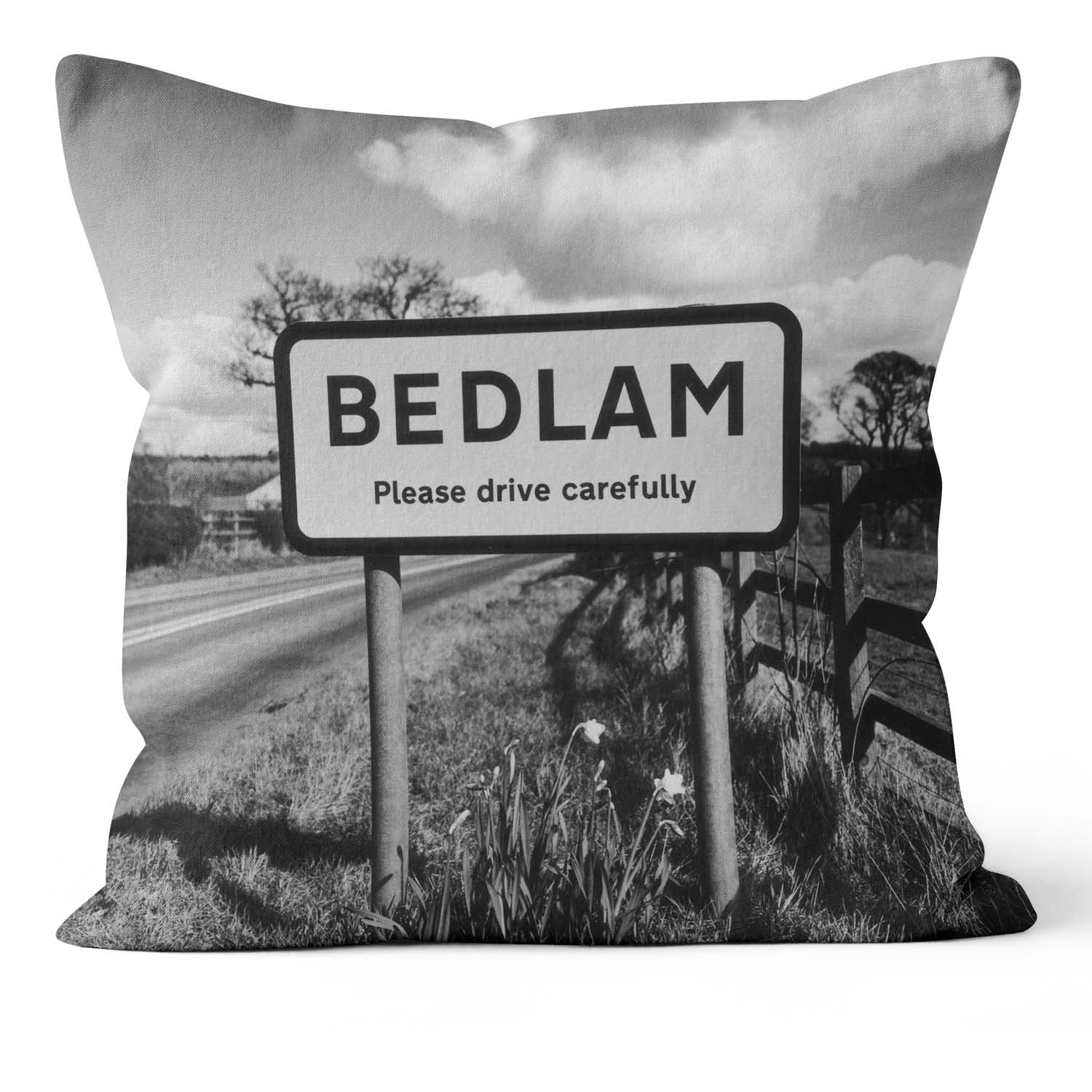 BEDLAM Cushion – Lesser Spotted Britain Collection