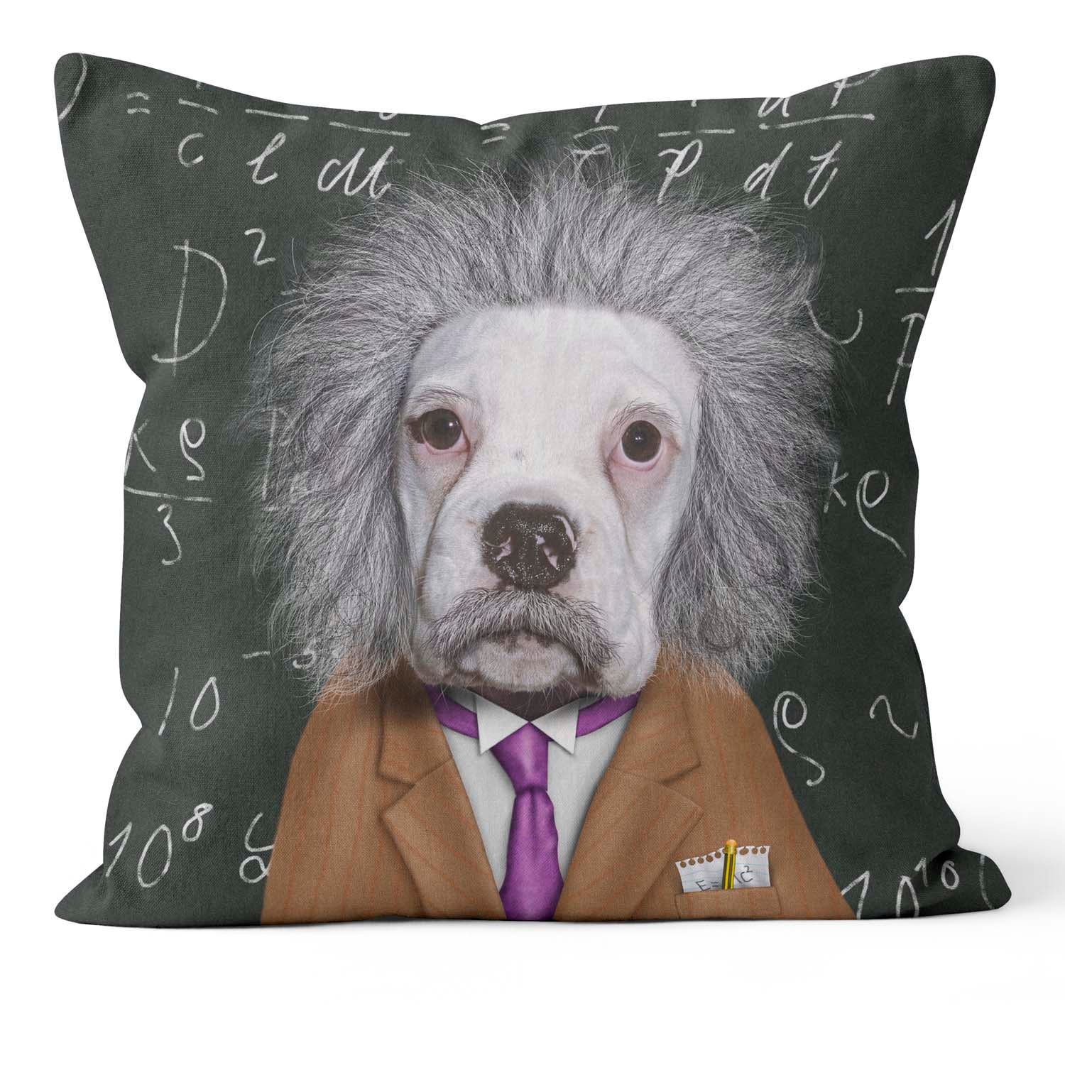 Brain - Pets Rock Cushion