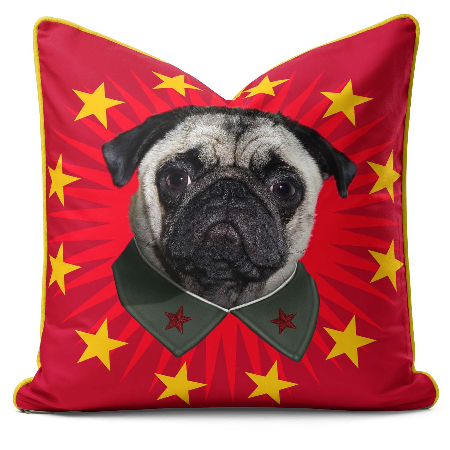 China Starburst - Pets Rock Cushion