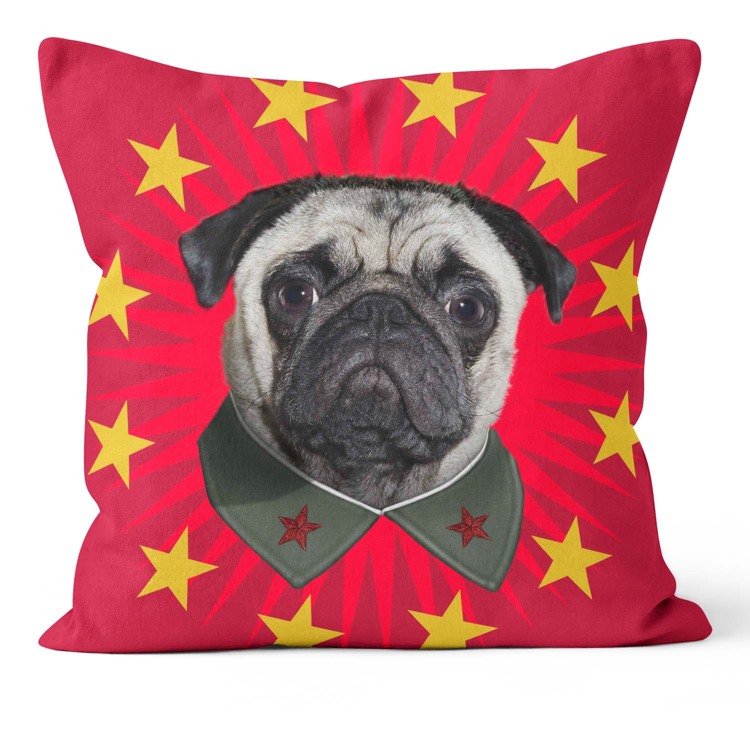 China Starburst - Pets Rock Cushion