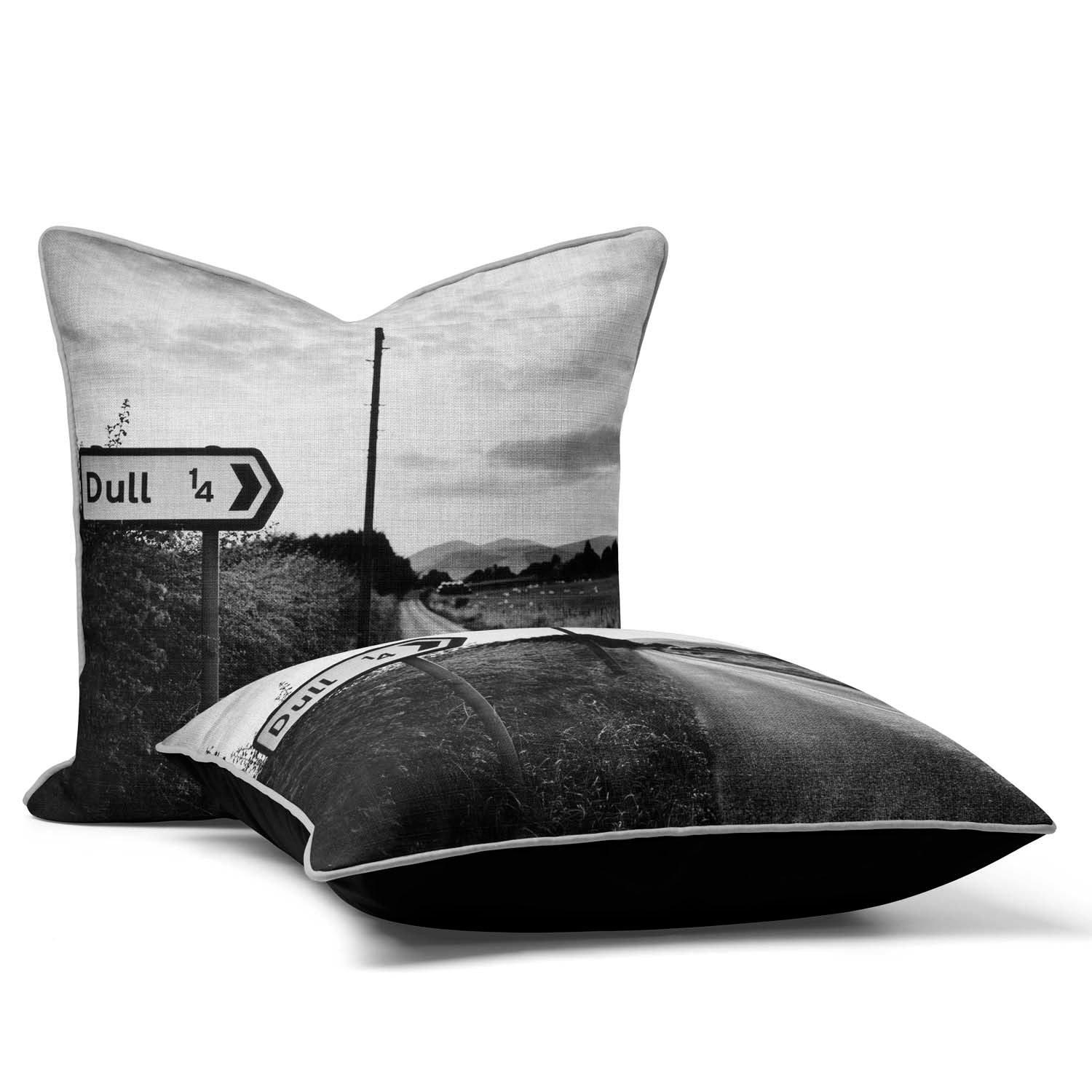 DULL Cushion – Lesser Spotted Britain Collection