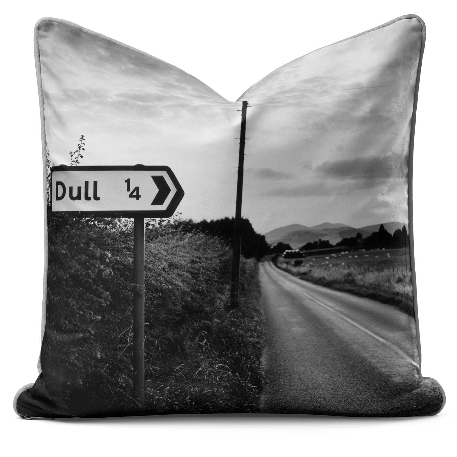 DULL Cushion – Lesser Spotted Britain Collection