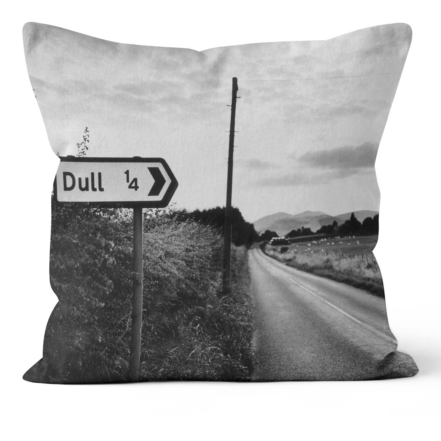 DULL Cushion – Lesser Spotted Britain Collection