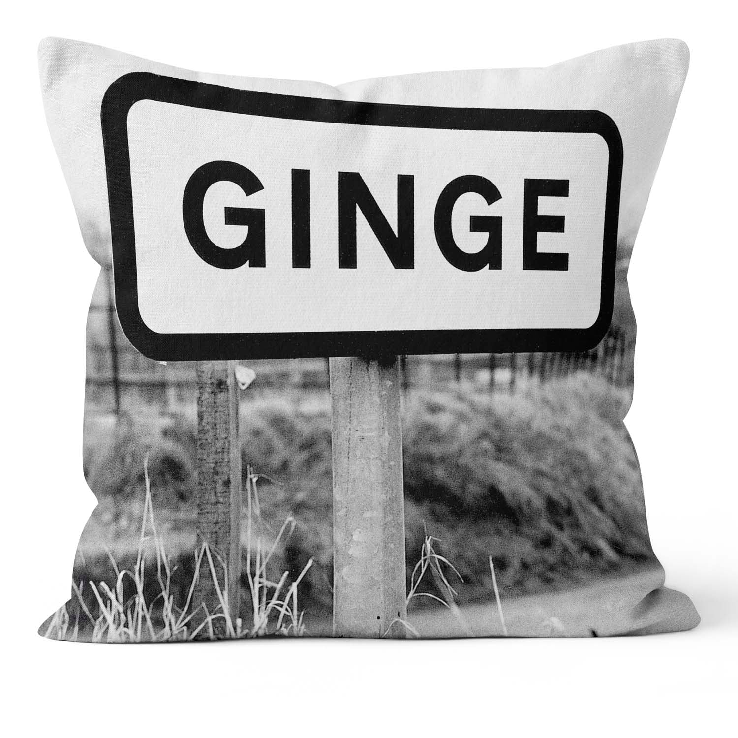 GINGE Cushion – Lesser Spotted Britain Collection