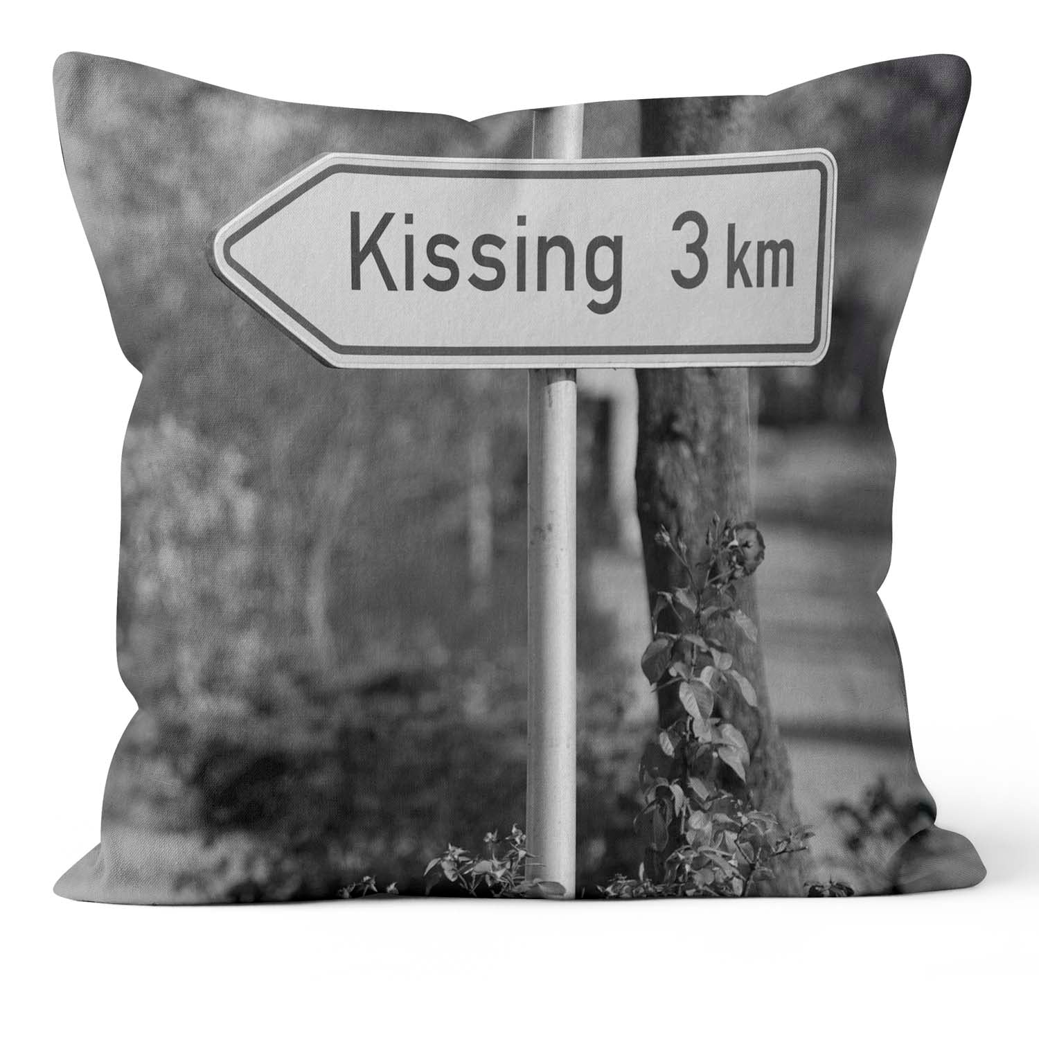 THE KISSING Cushion – Lesser Spotted Britain Collection