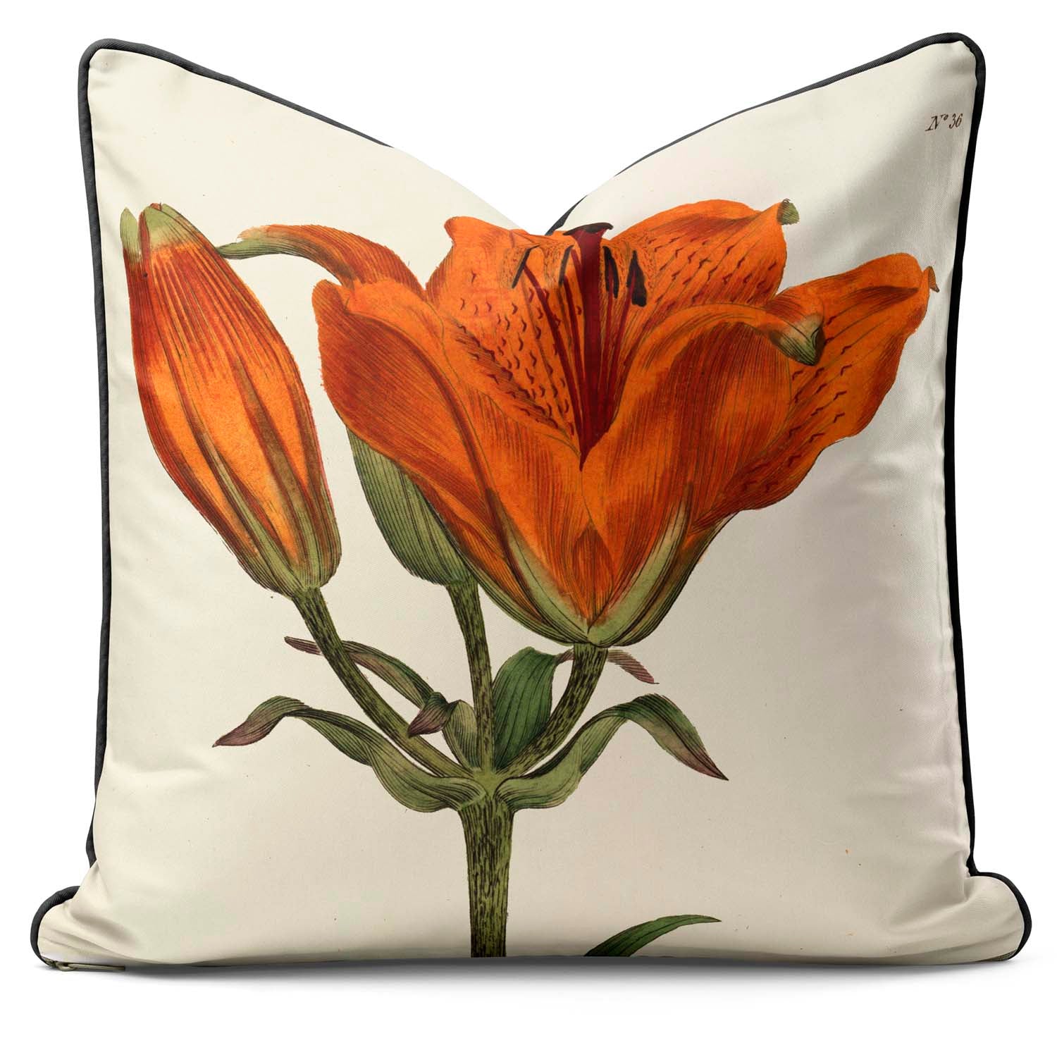 Orange Lily - Botanical Outdoor Cushion