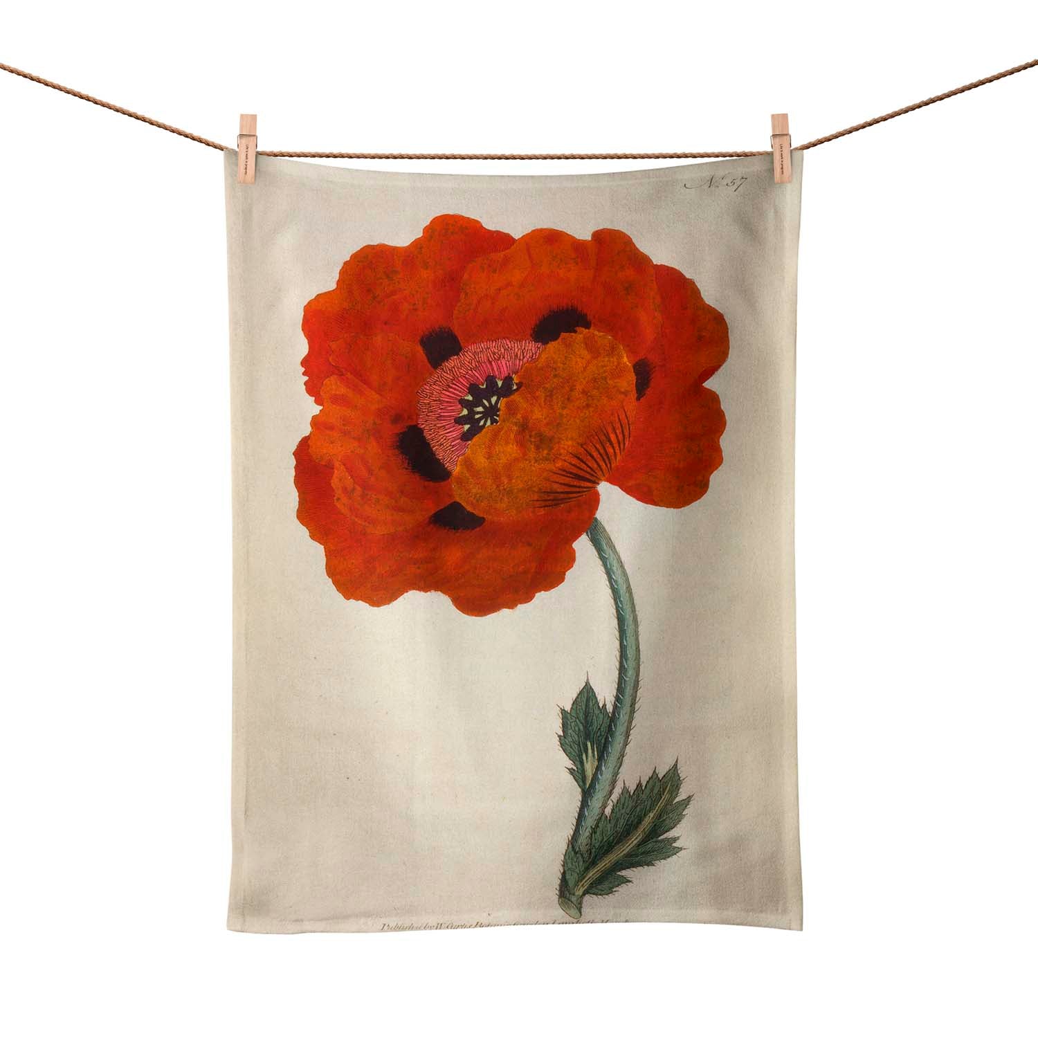 Eastern Poppy - Botanical Tea Towel