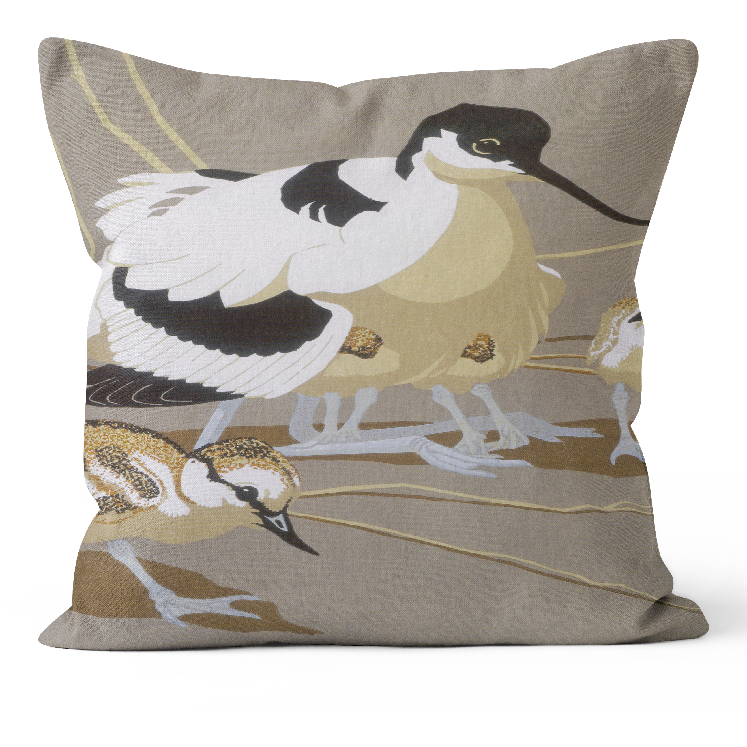 Avocet Family - Robert Gillmor Cushion