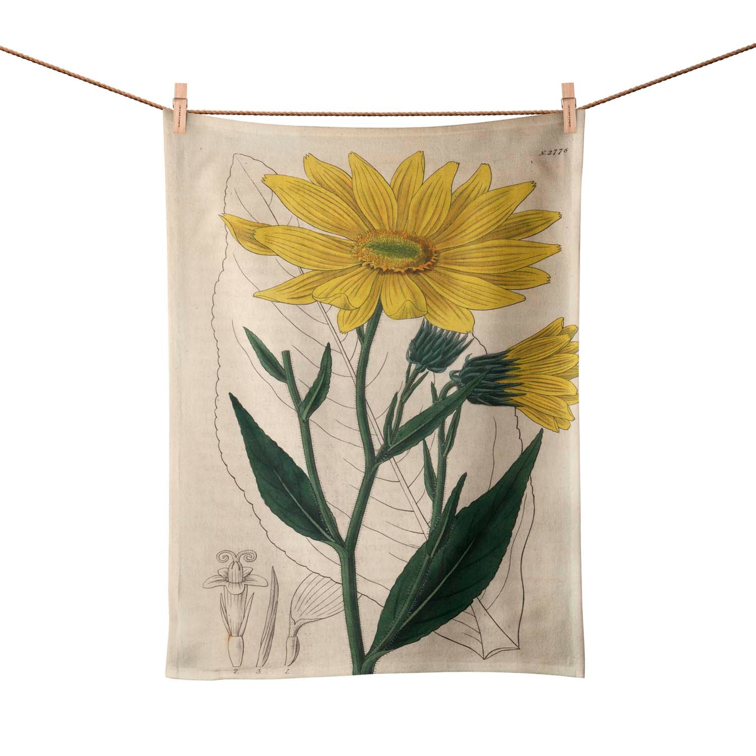 Heliantus - Botanical Tea Towel