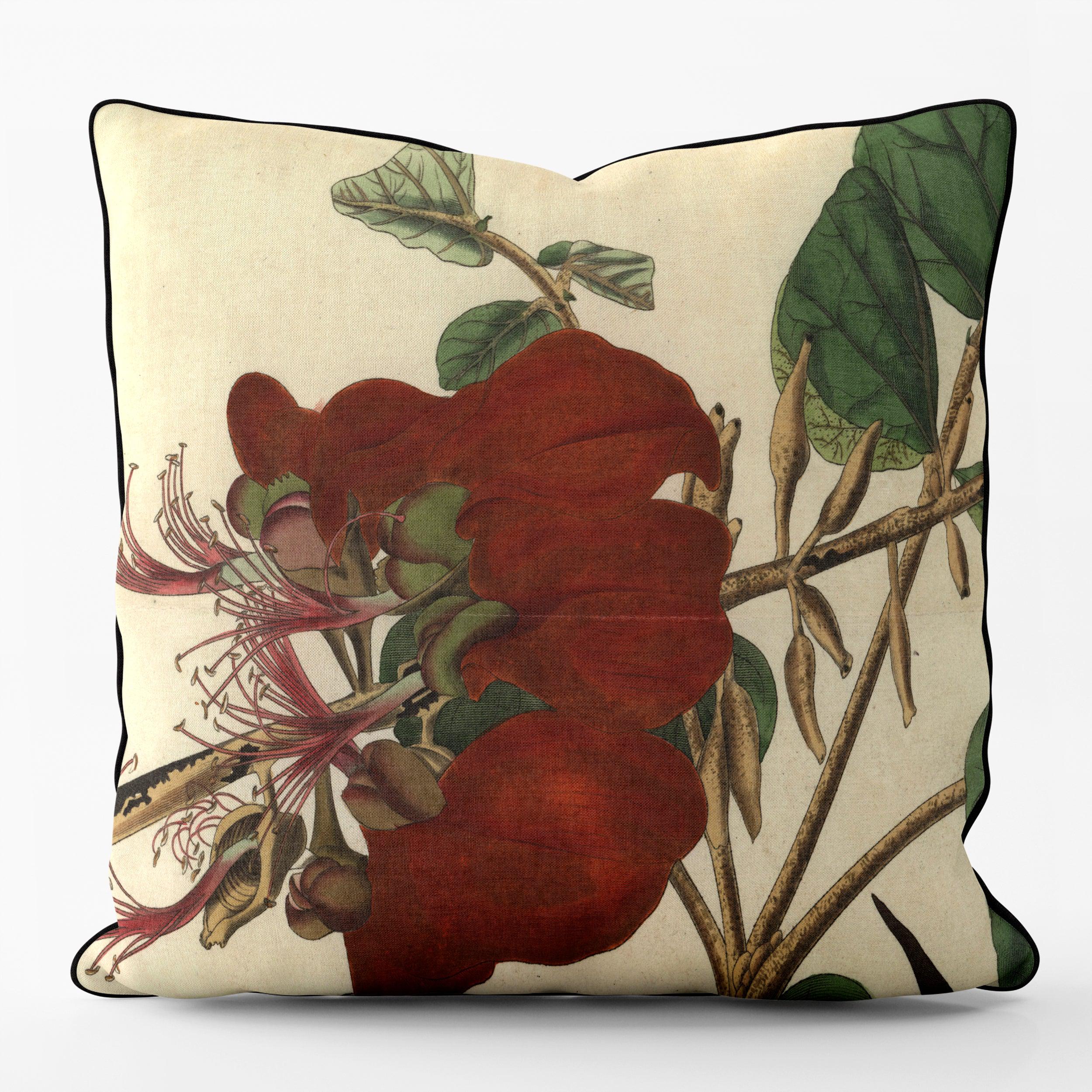Velvety Erythrina - Botanical Outdoor Cushion