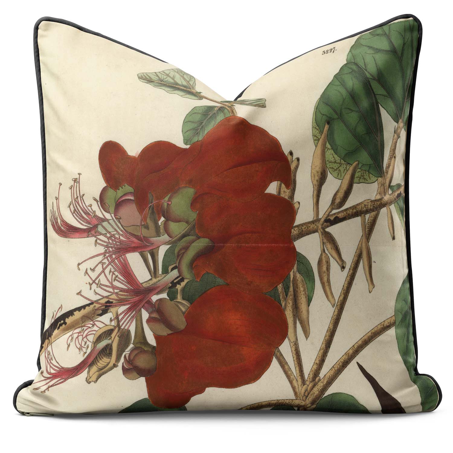 Velvety Erythrina - Botanical Outdoor Cushion