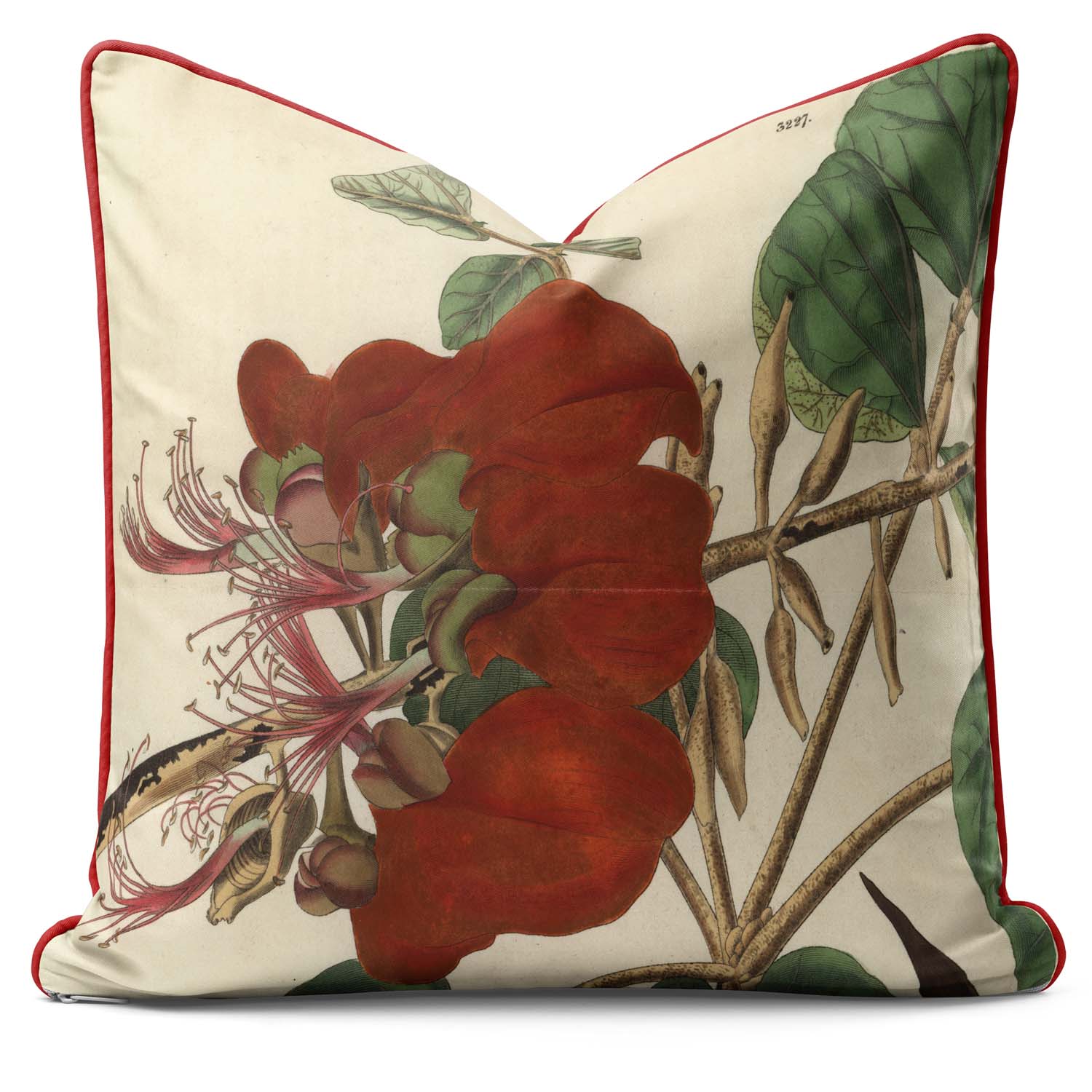 Velvety Erythrina - Botanical Cushion