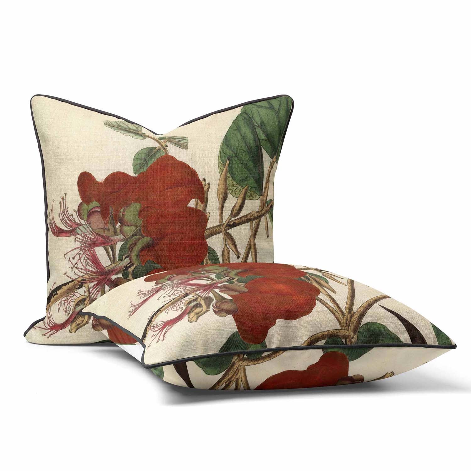 Velvety Erythrina - Botanical Outdoor Cushion