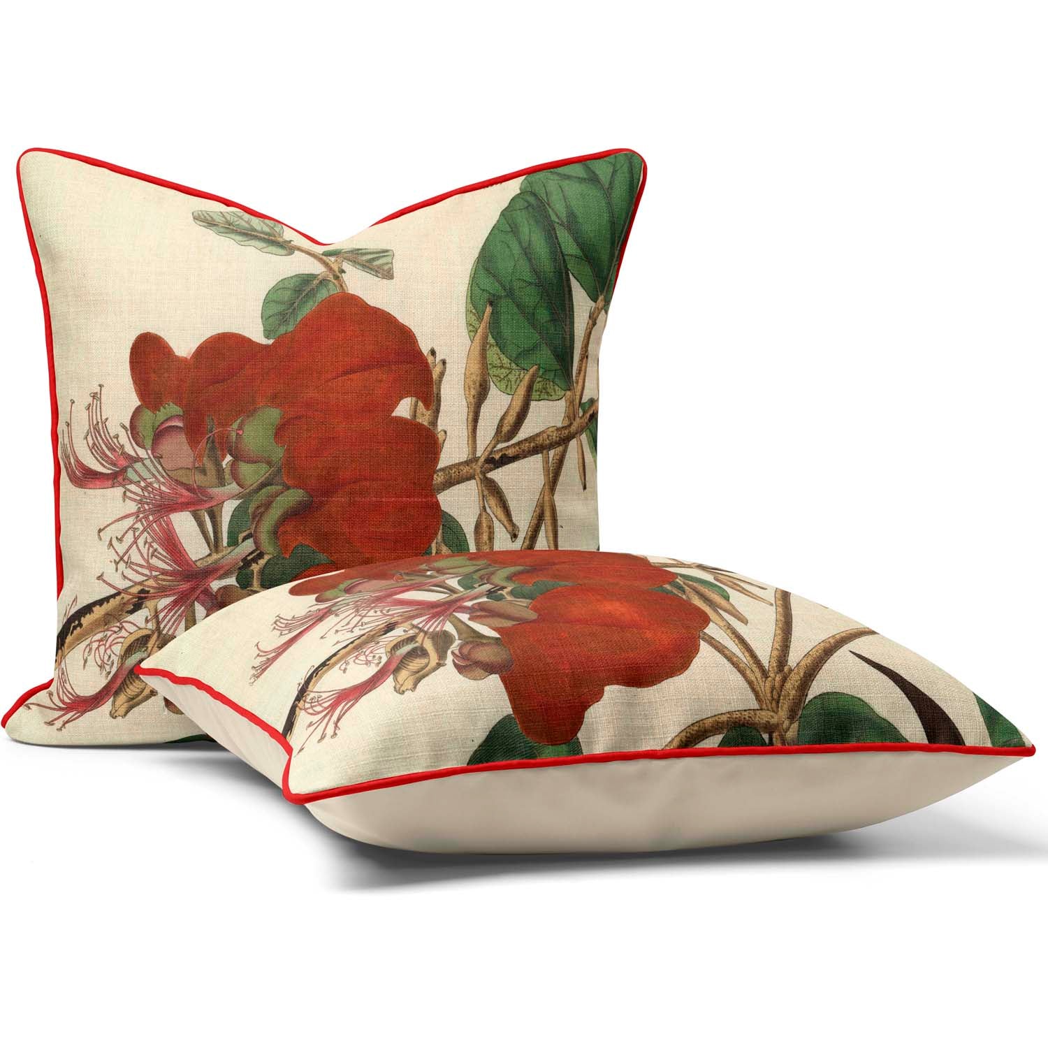 Velvety Erythrina - Botanical Cushion