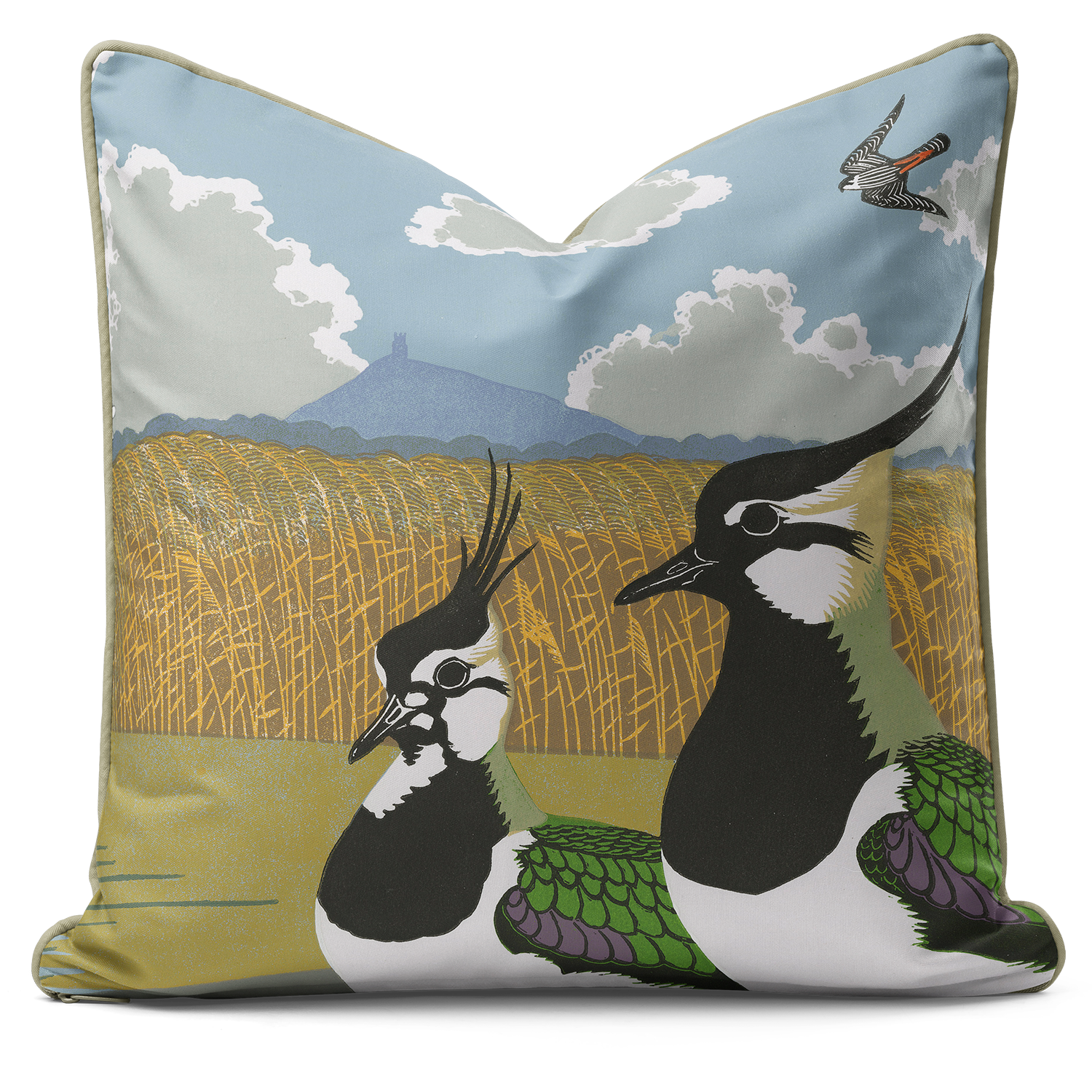 Ducks Lapwings Falcons II - Robert Gillmor Cushion