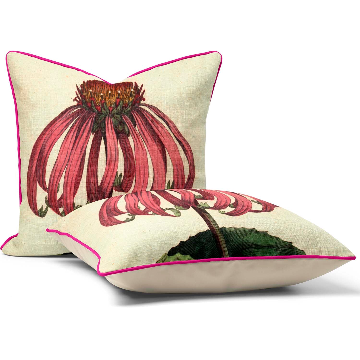 Echineacea Purpurea - Botanical Cushion