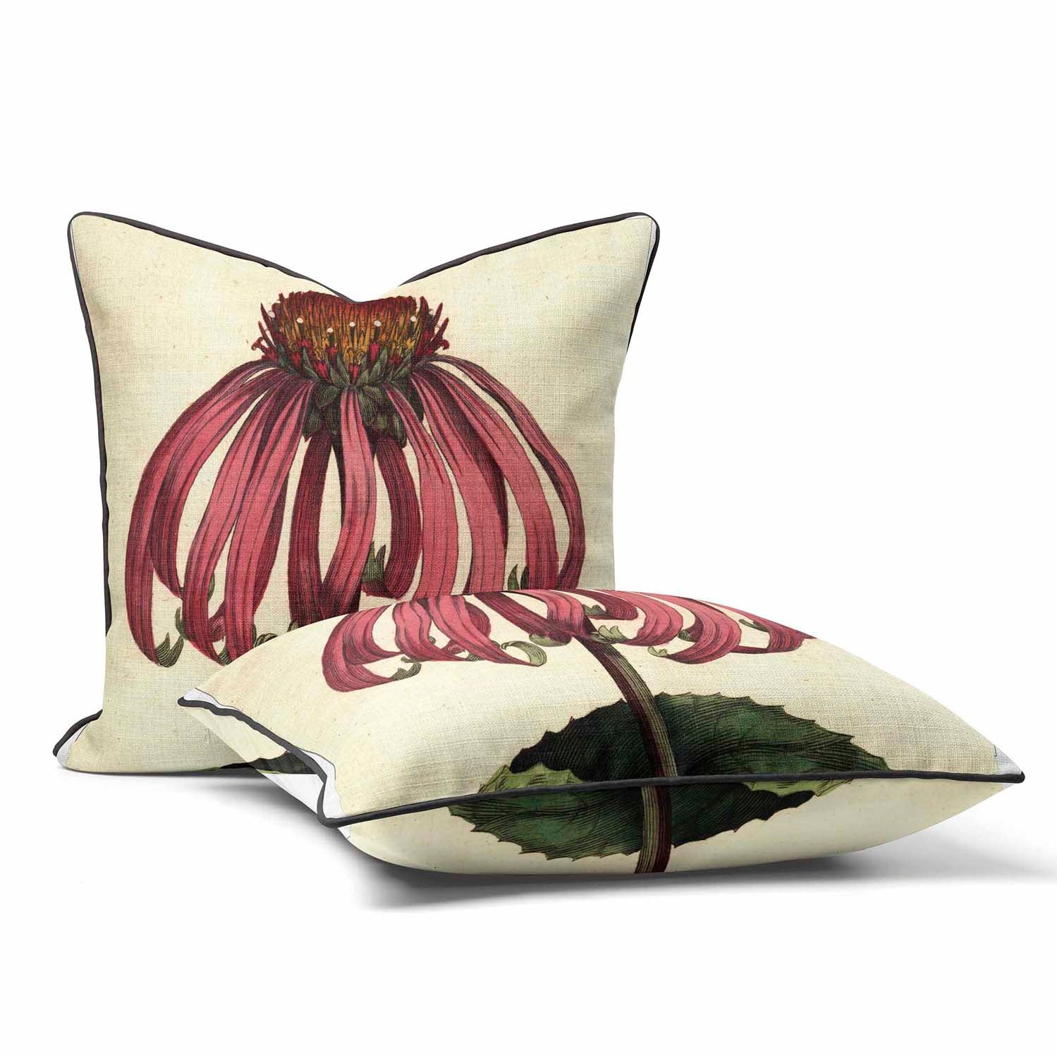 Echineacea Purpurea - Botanical Outdoor Cushion