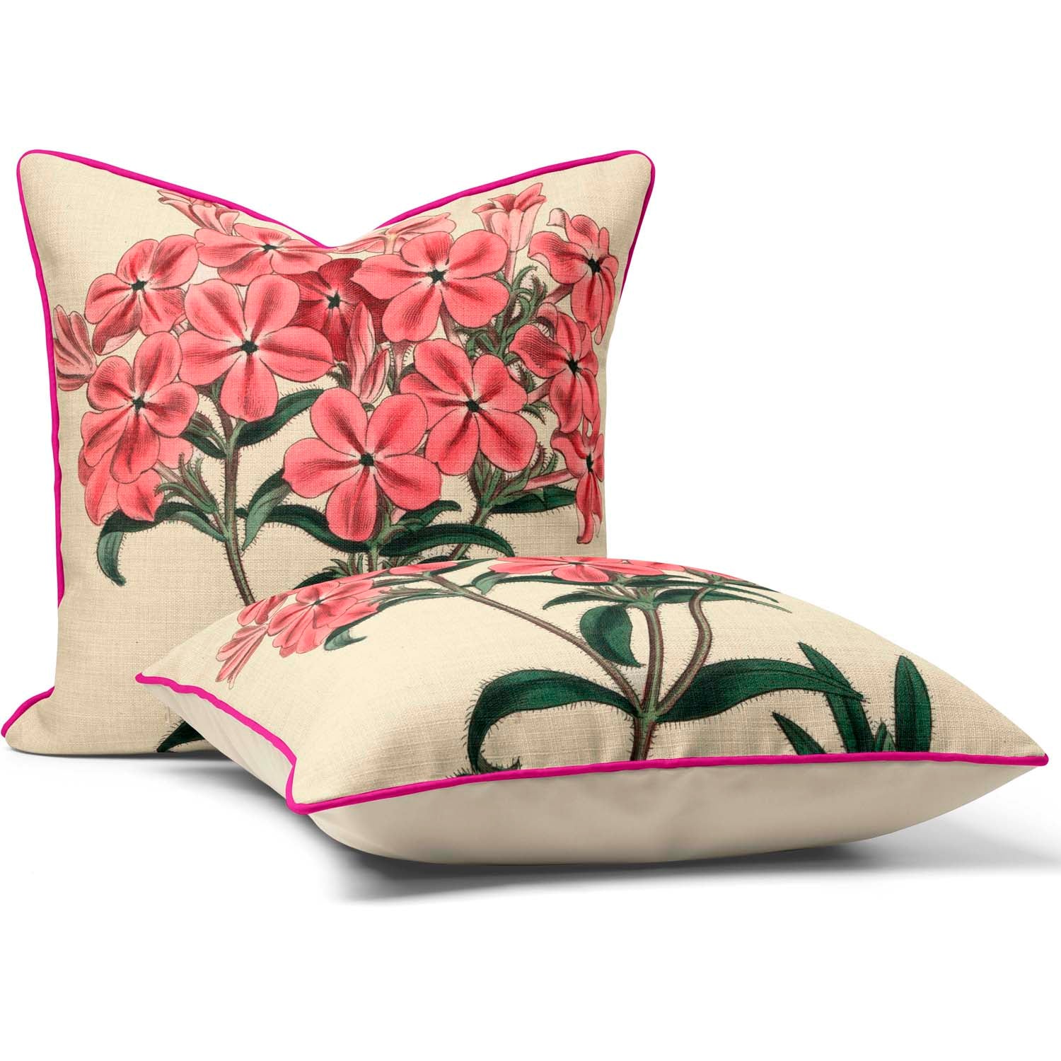 Frasers Hairy Phlox - Botanical Cushion