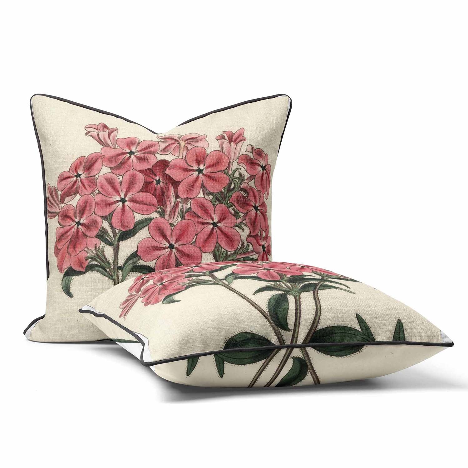 Frasers Hairy Phlox - Botanical Outdoor Cushion