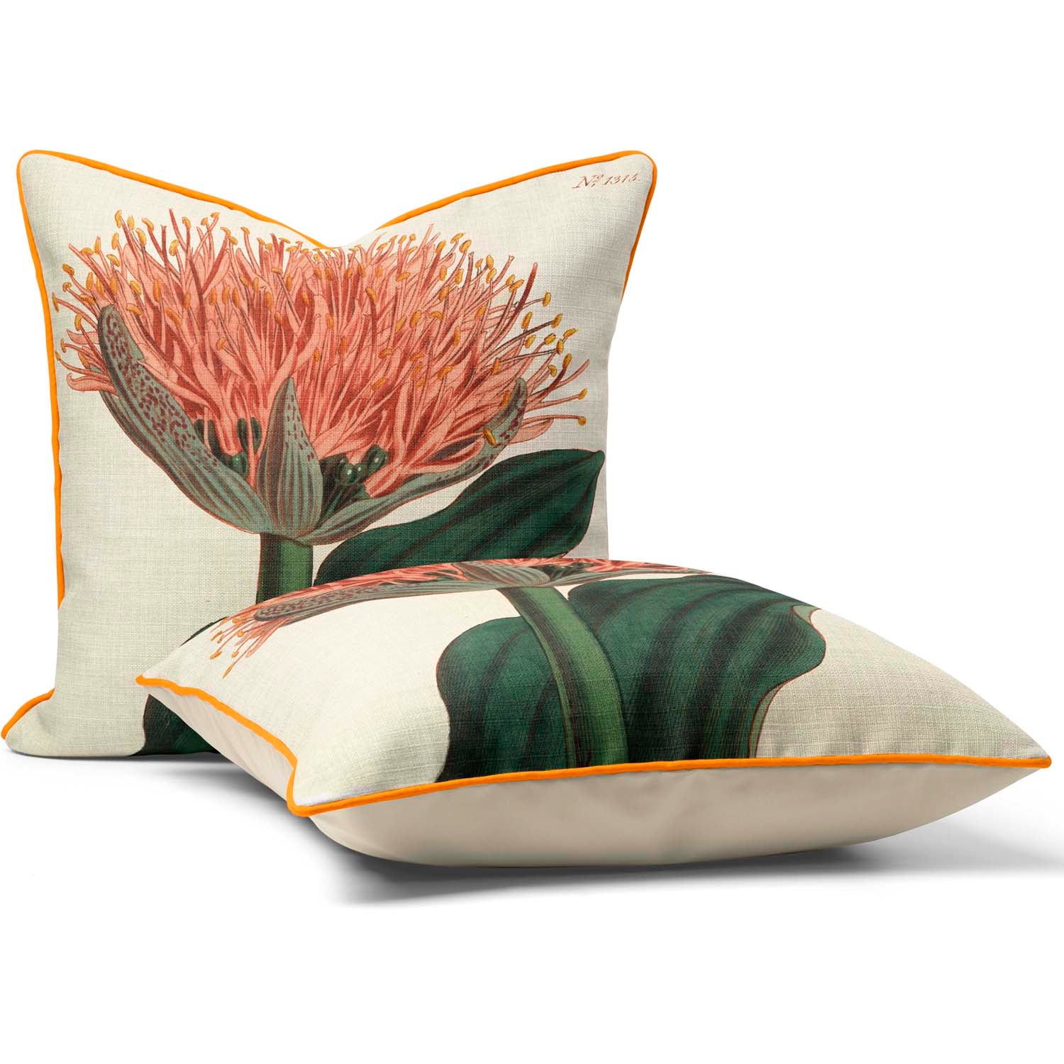 Paintbrush Lily - Botanical Cushion