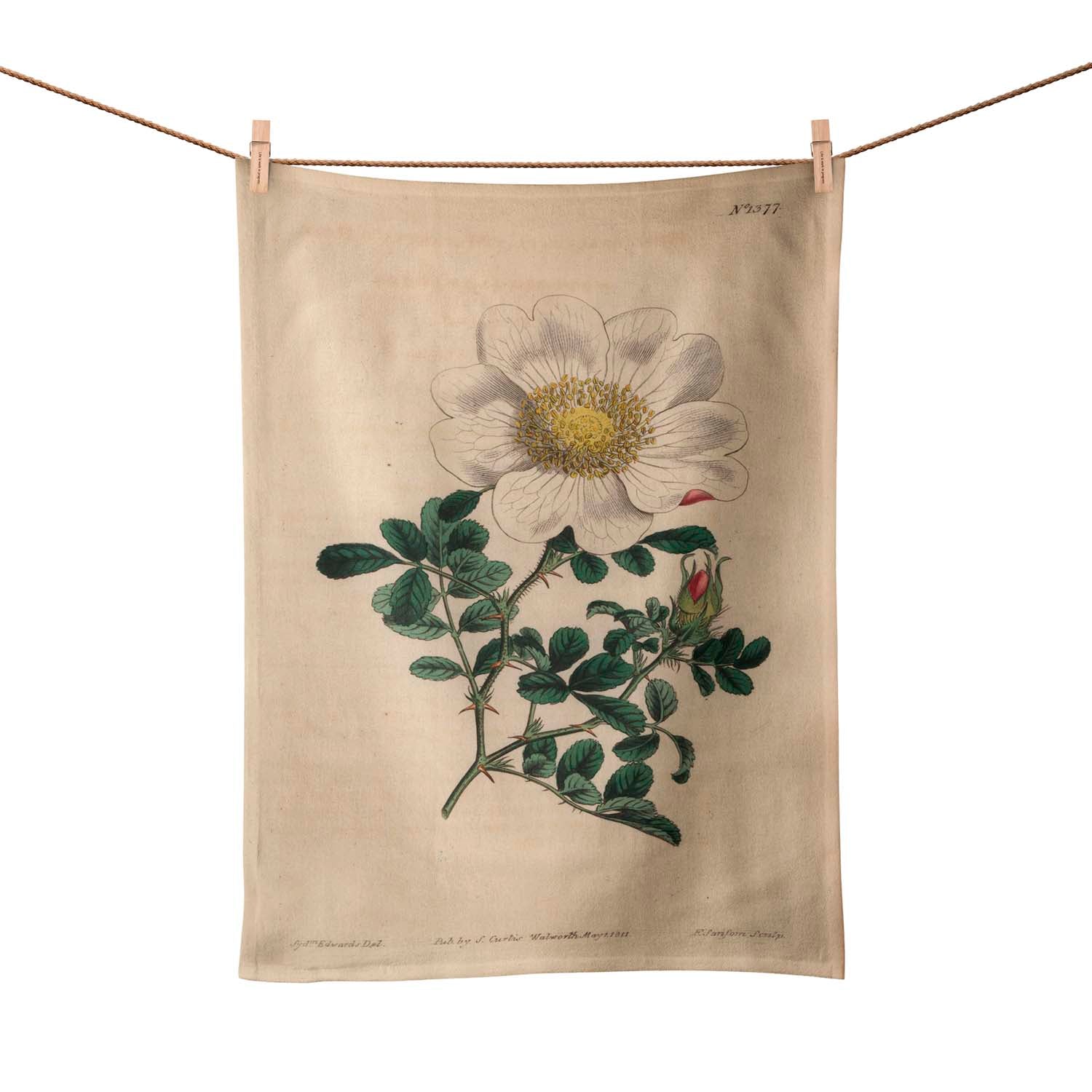 Macartney's Rose - Botanical Tea Towel