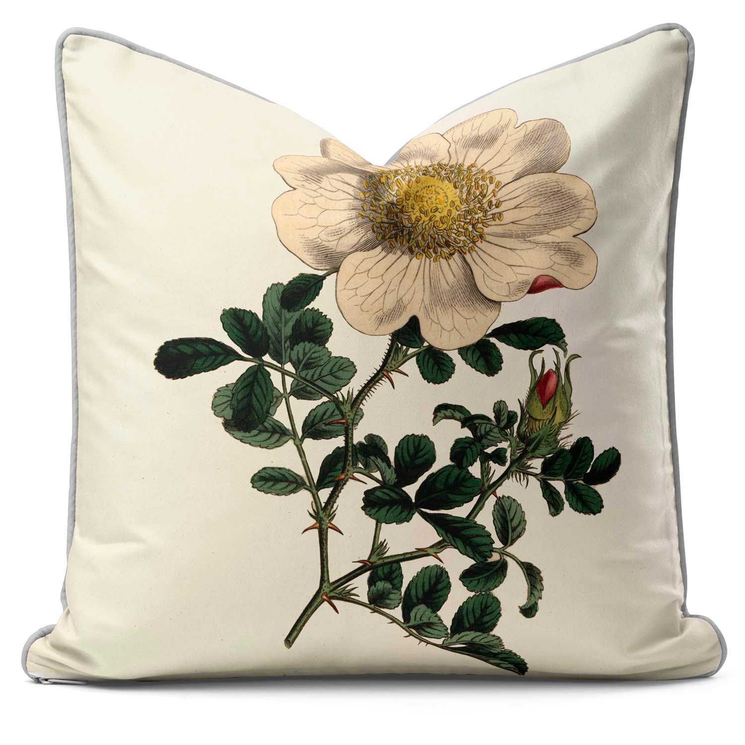 Macartney 's Rose - Botanical Cushion