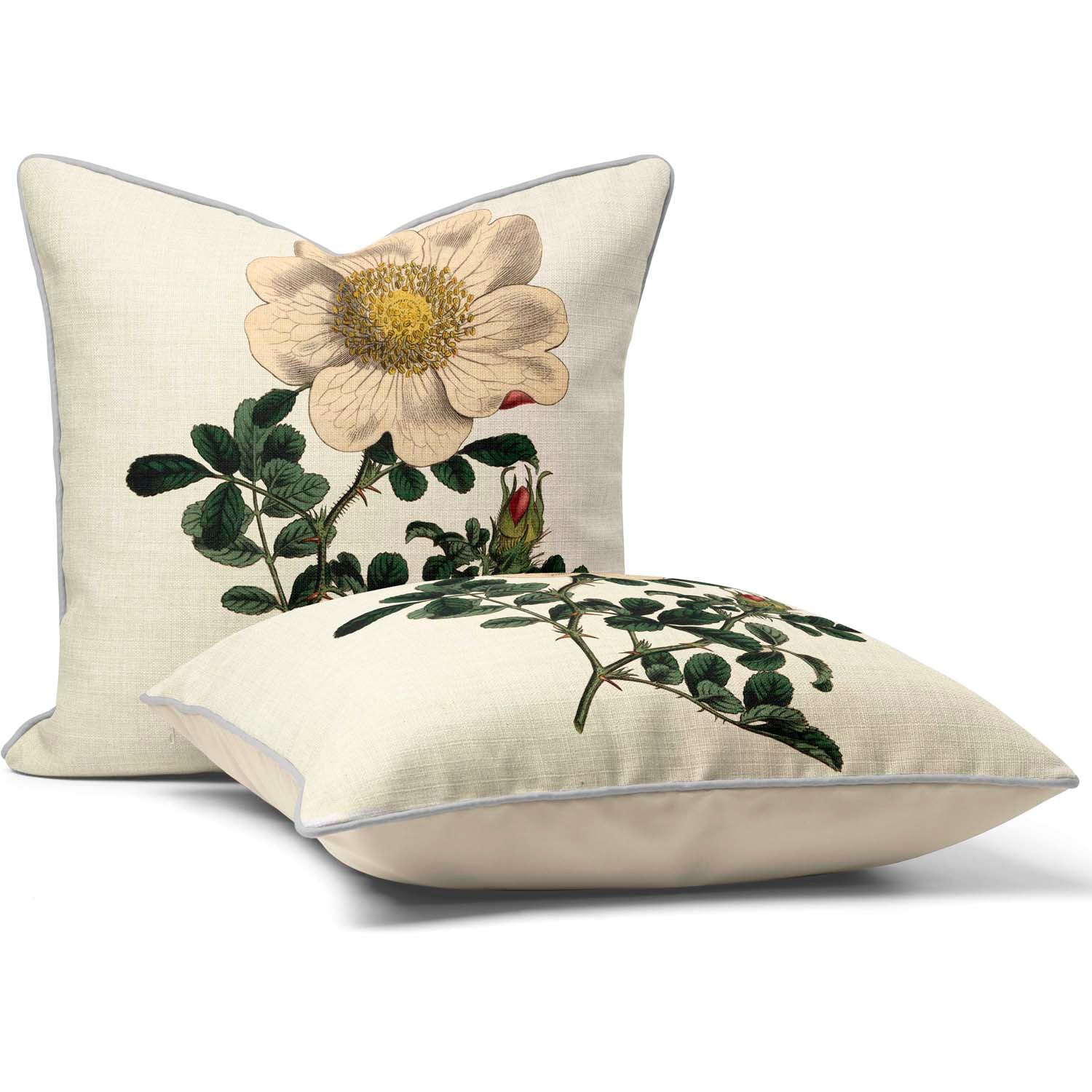 Macartney 's Rose - Botanical Cushion