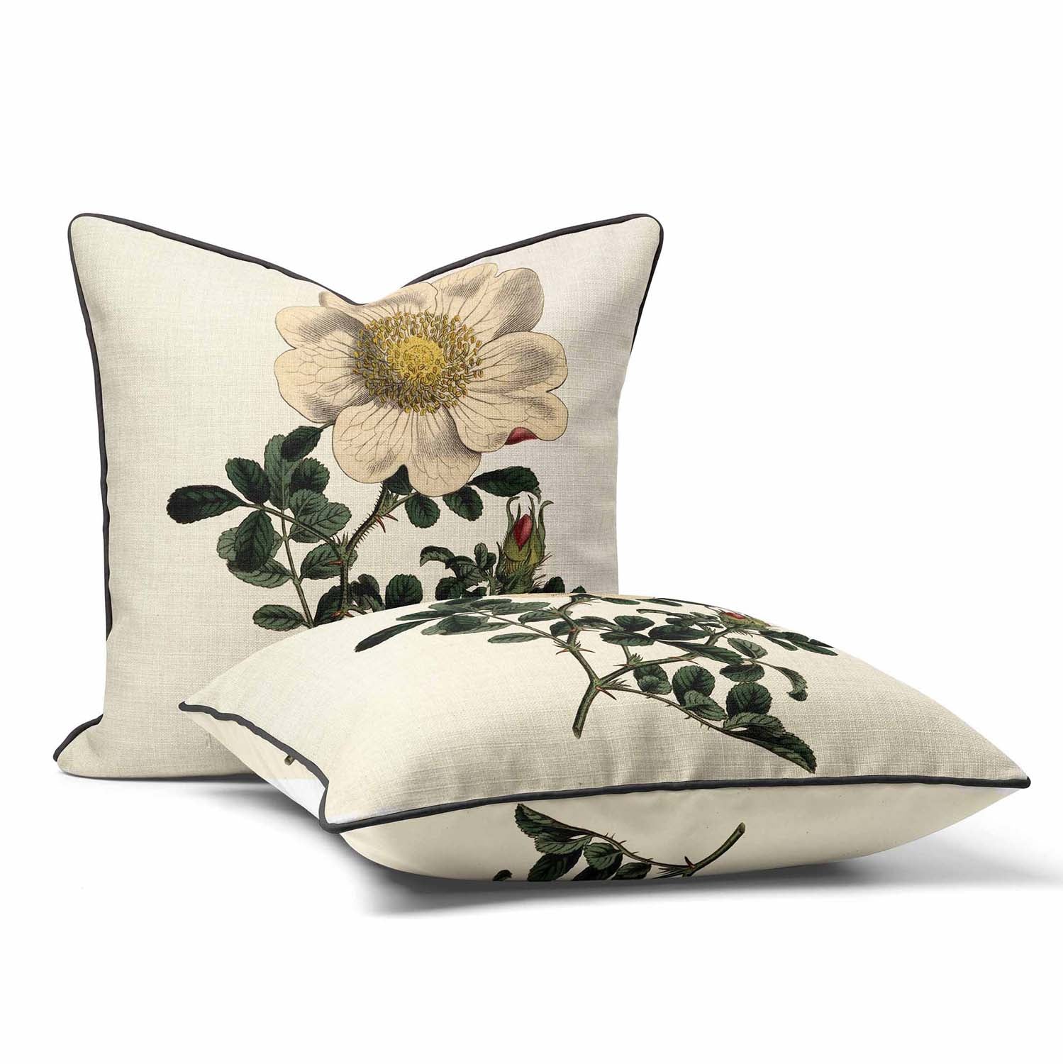 Macartney's Rose - Botanical Outdoor Cushion