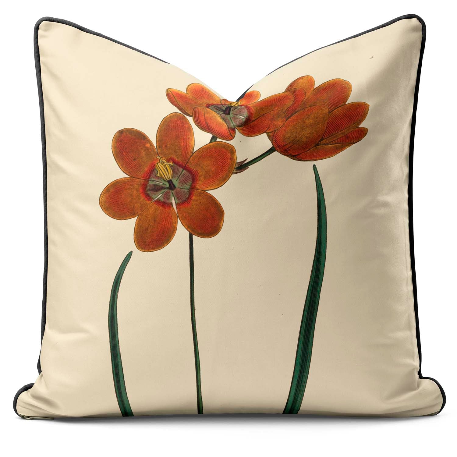 Orange Monadelpha - Botanical Outdoor Cushion